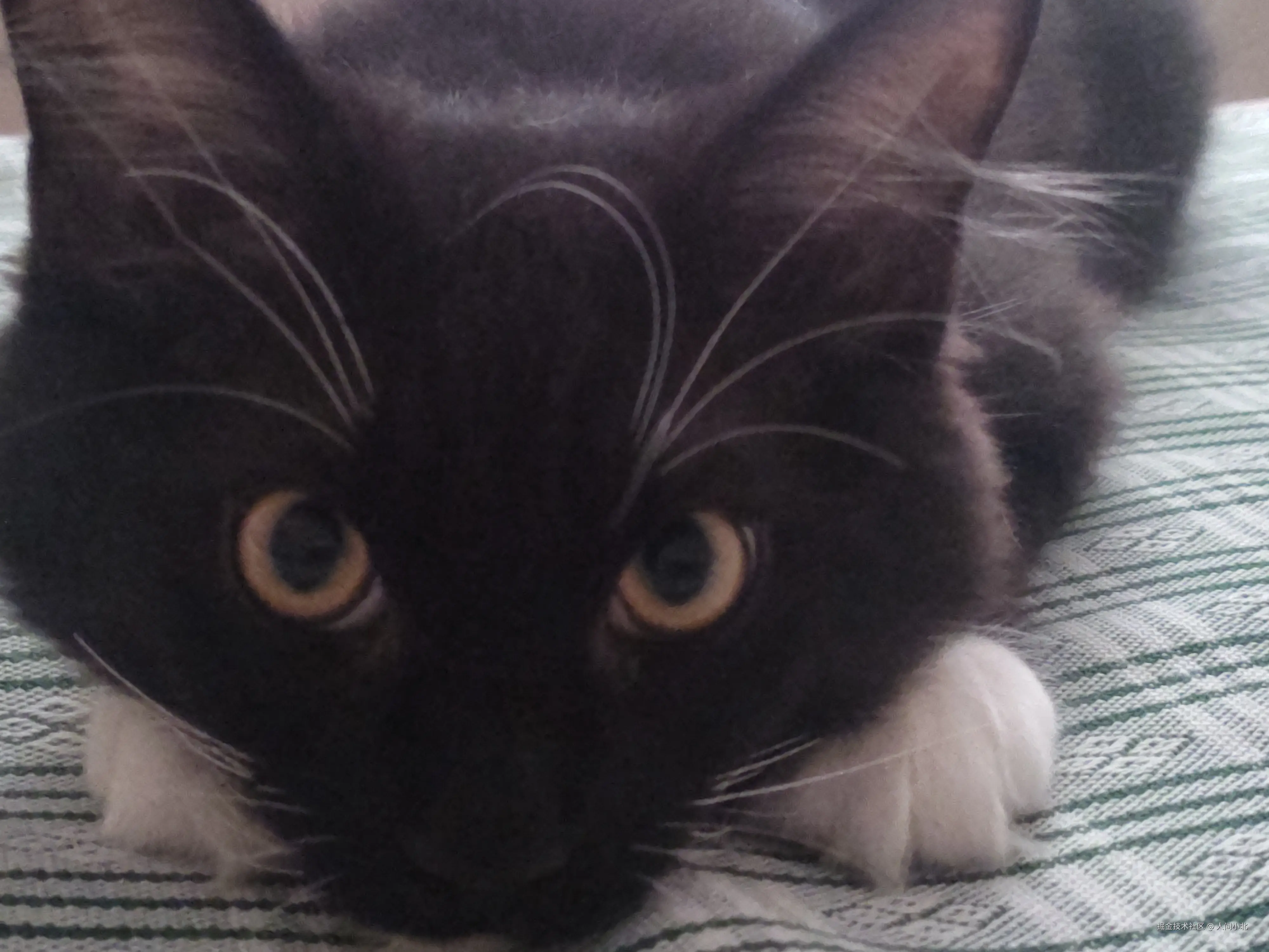 人间小北于2025-08-02 22:31发布的图片