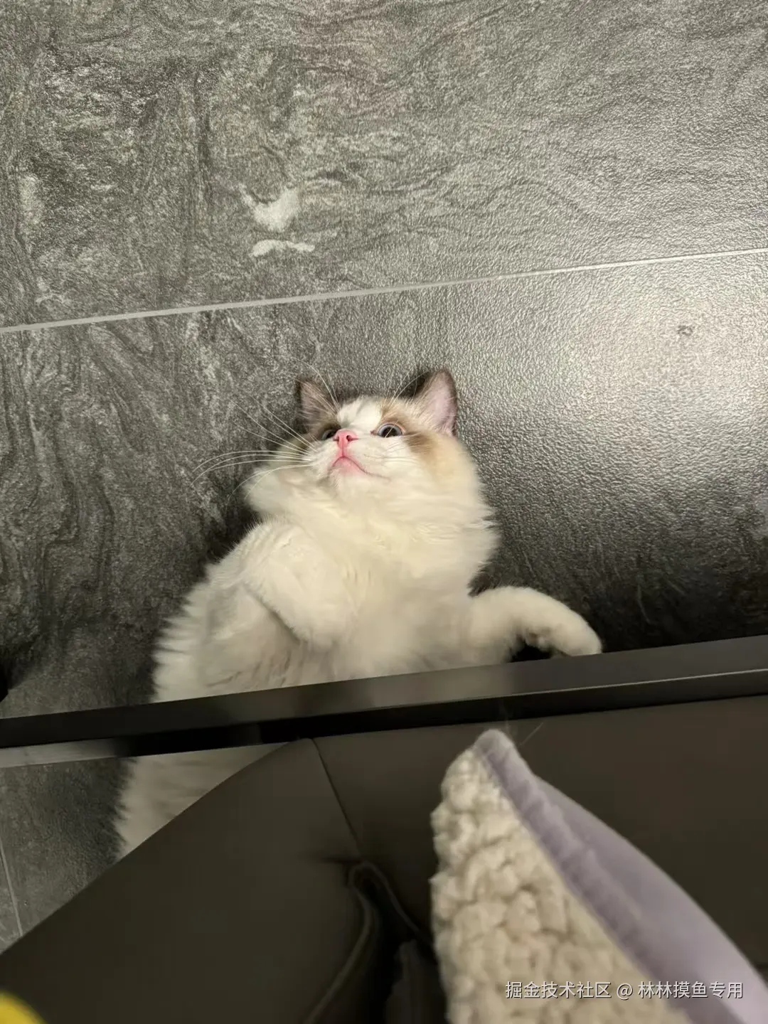 林林摸鱼专用于2024-10-29 11:33发布的图片