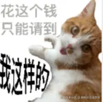 狗熊岭在逃翠花于2025-11-14 02:18发布的图片