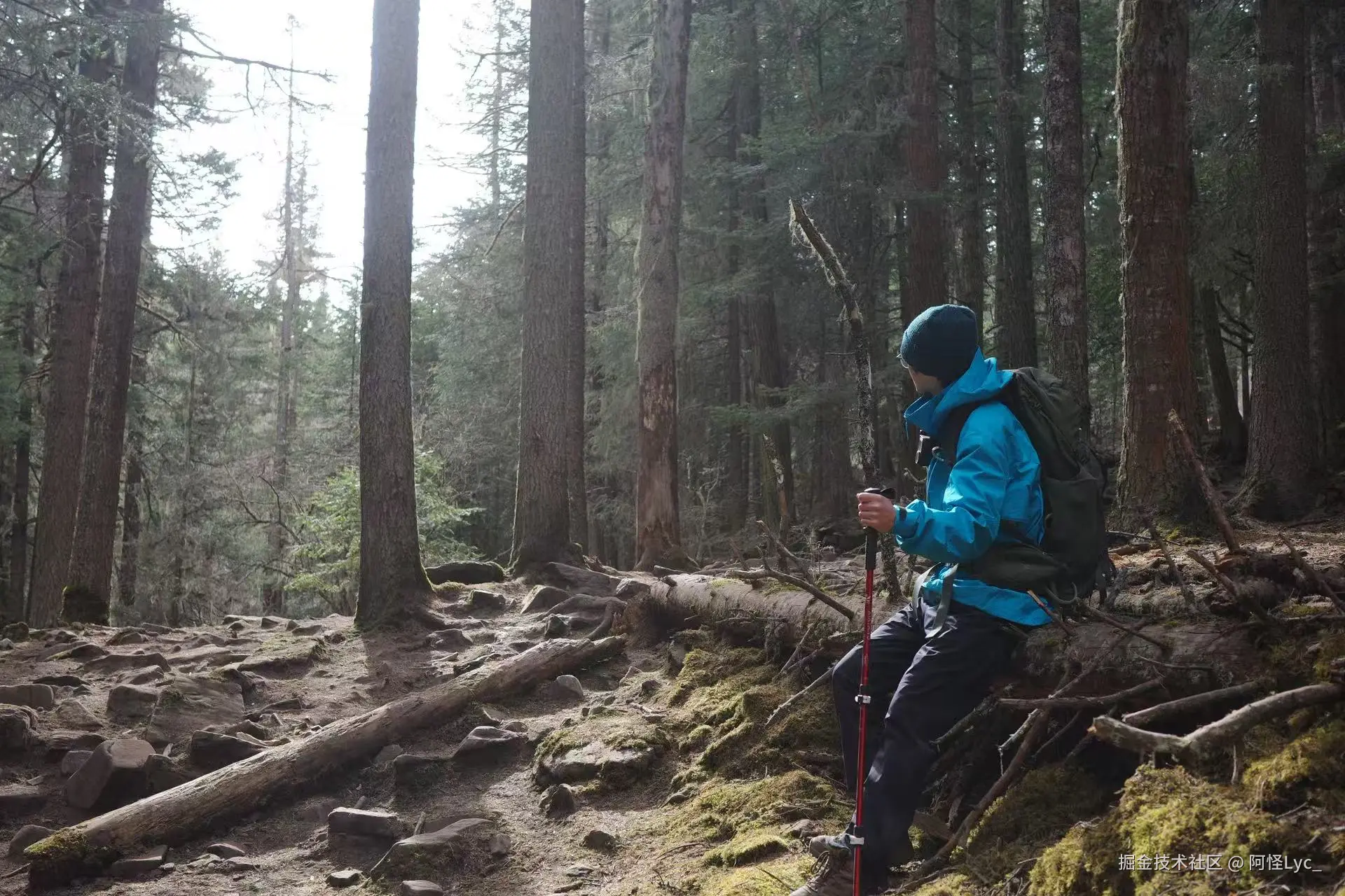 阿怪Lyc_于2025-12-30 02:21发布的图片