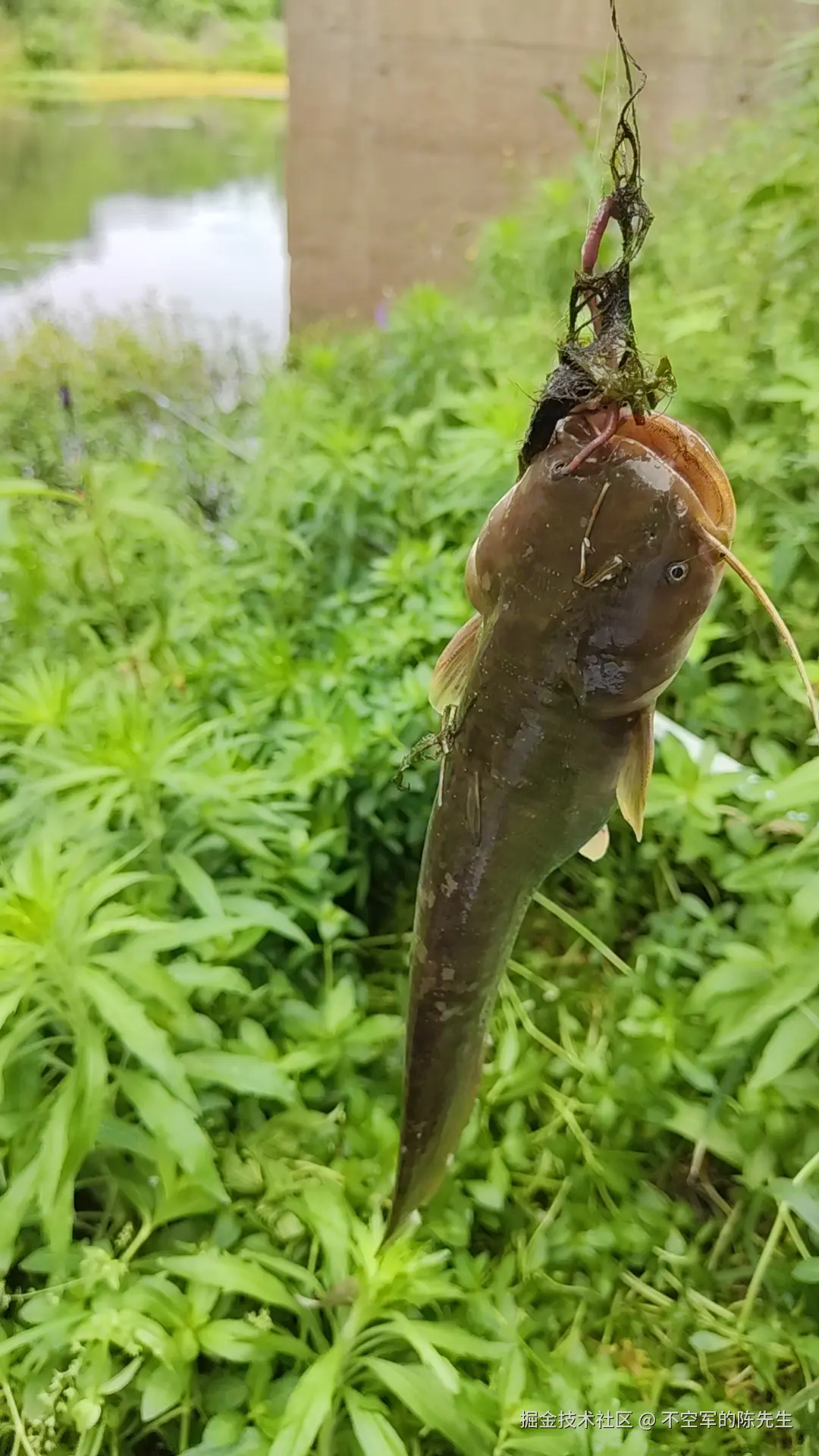 不空军的陈先生于2025-05-14 15:19发布的图片