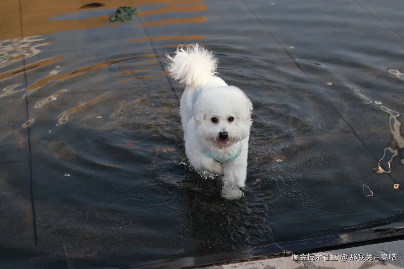 那我关月亮咯于2025-03-03 09:50发布的图片