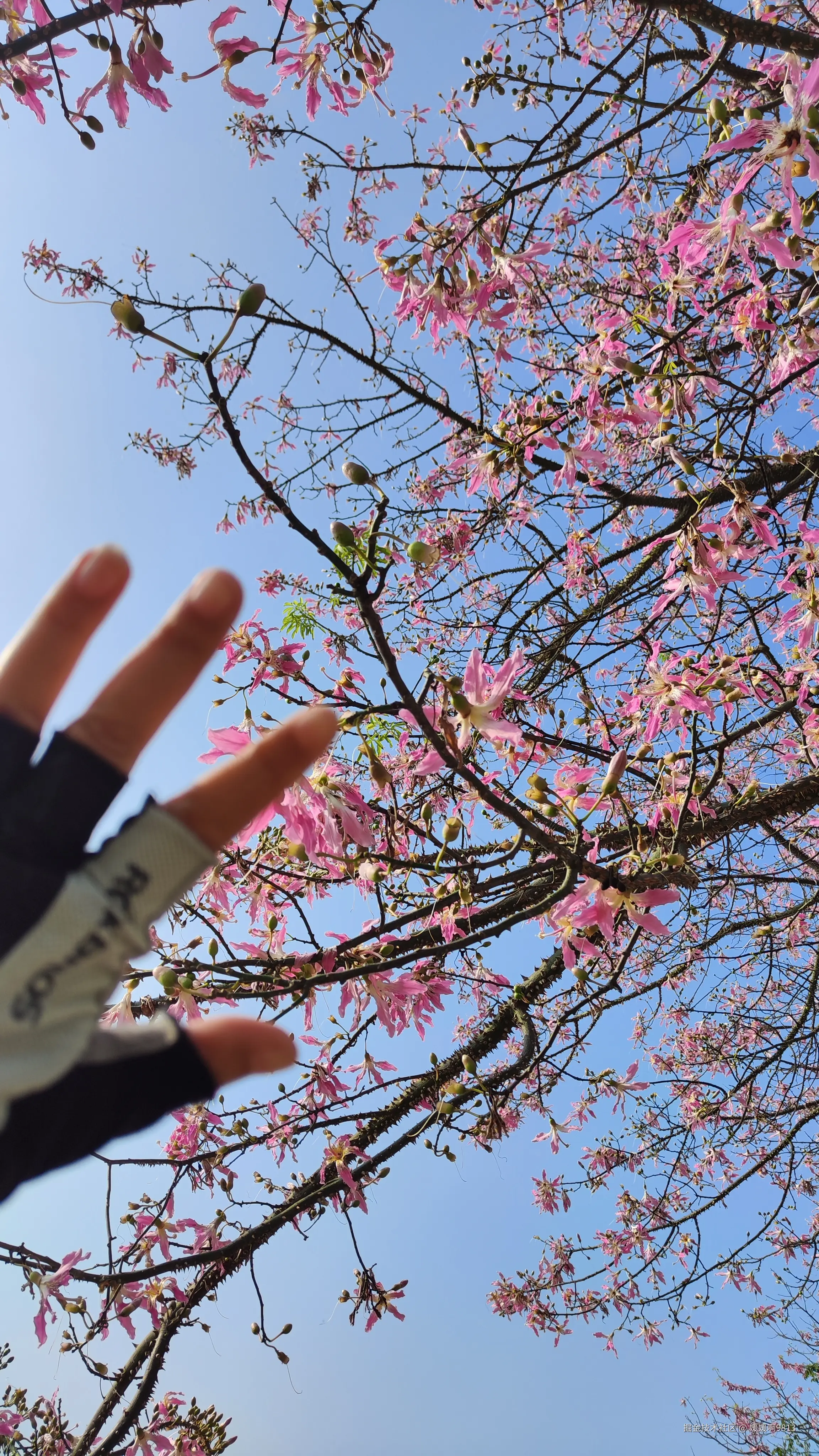 媛媛啊9813于2024-10-21 07:22发布的图片