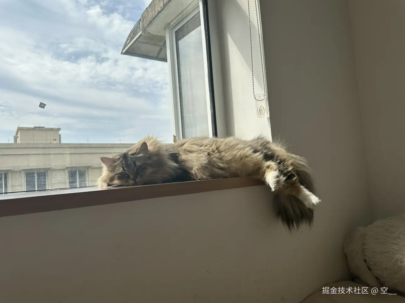 空__于2025-04-27 13:56发布的图片