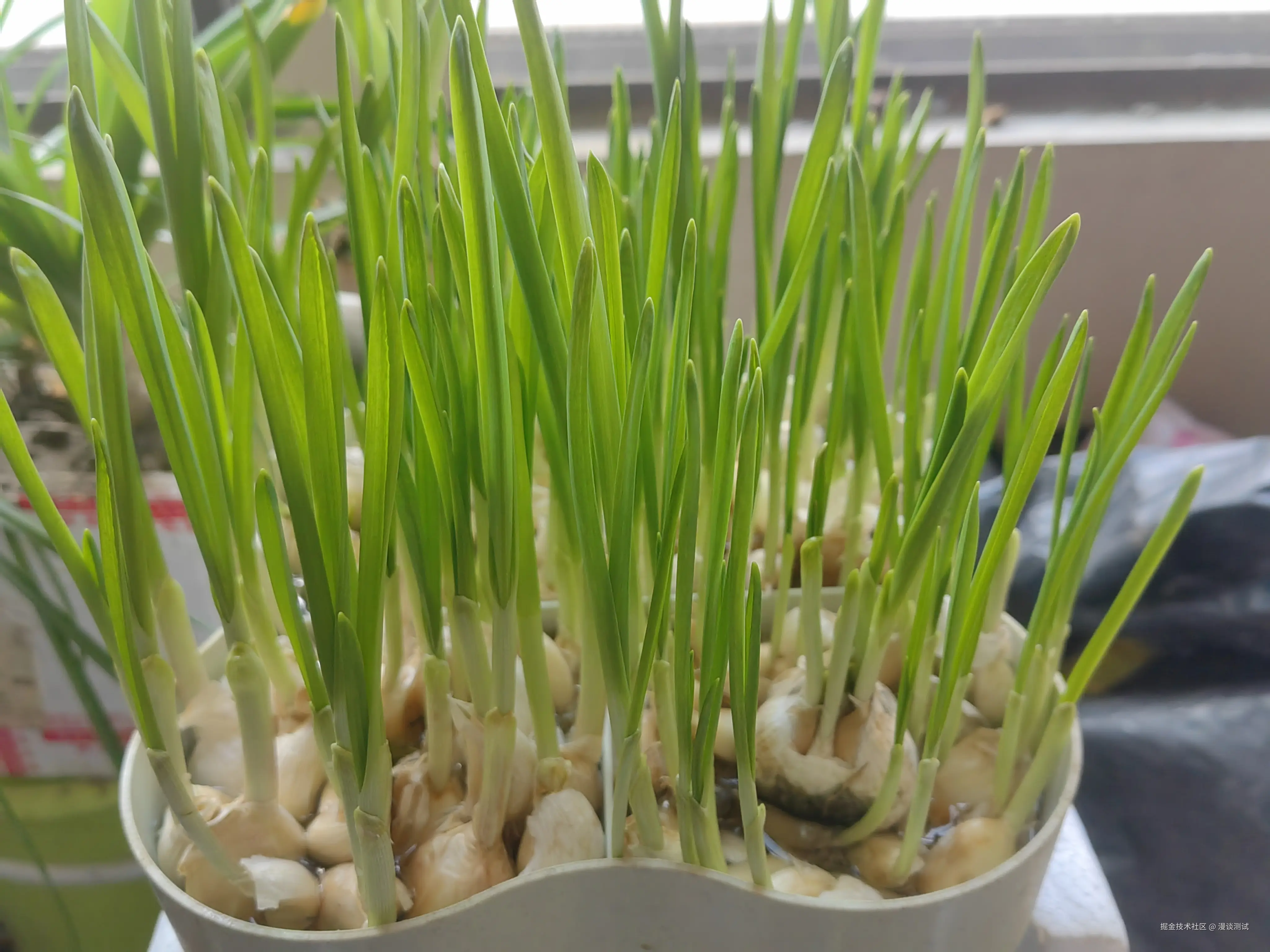 漫谈测试于2025-11-01 10:08发布的图片