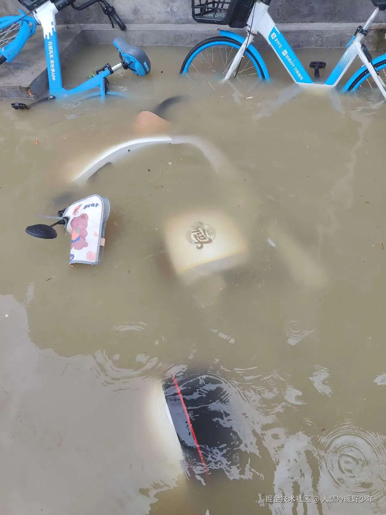 人情冷暖好少年于2024-07-30 11:20发布的图片