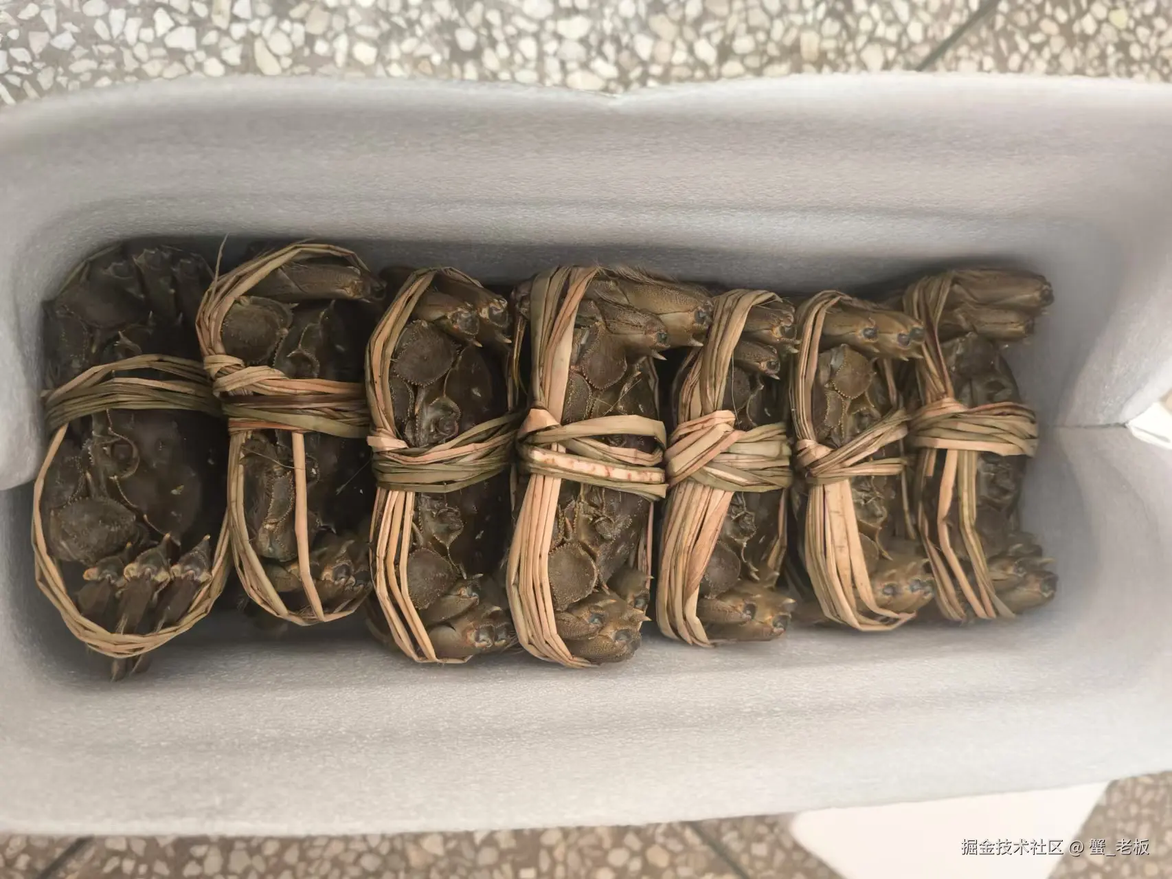 蟹_老板于2024-10-22 15:36发布的图片