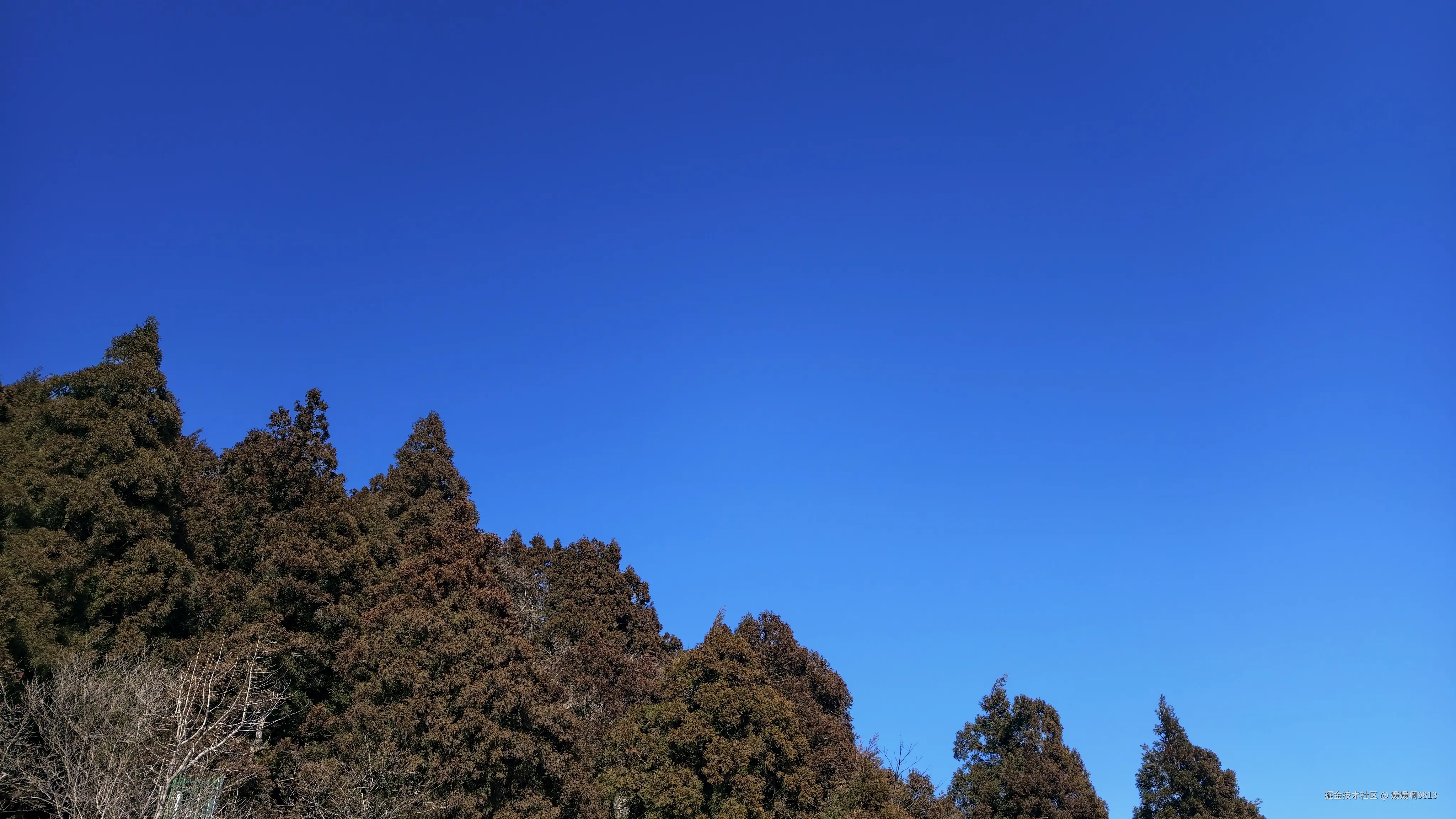 媛媛啊9813于2026-02-21 09:58发布的图片