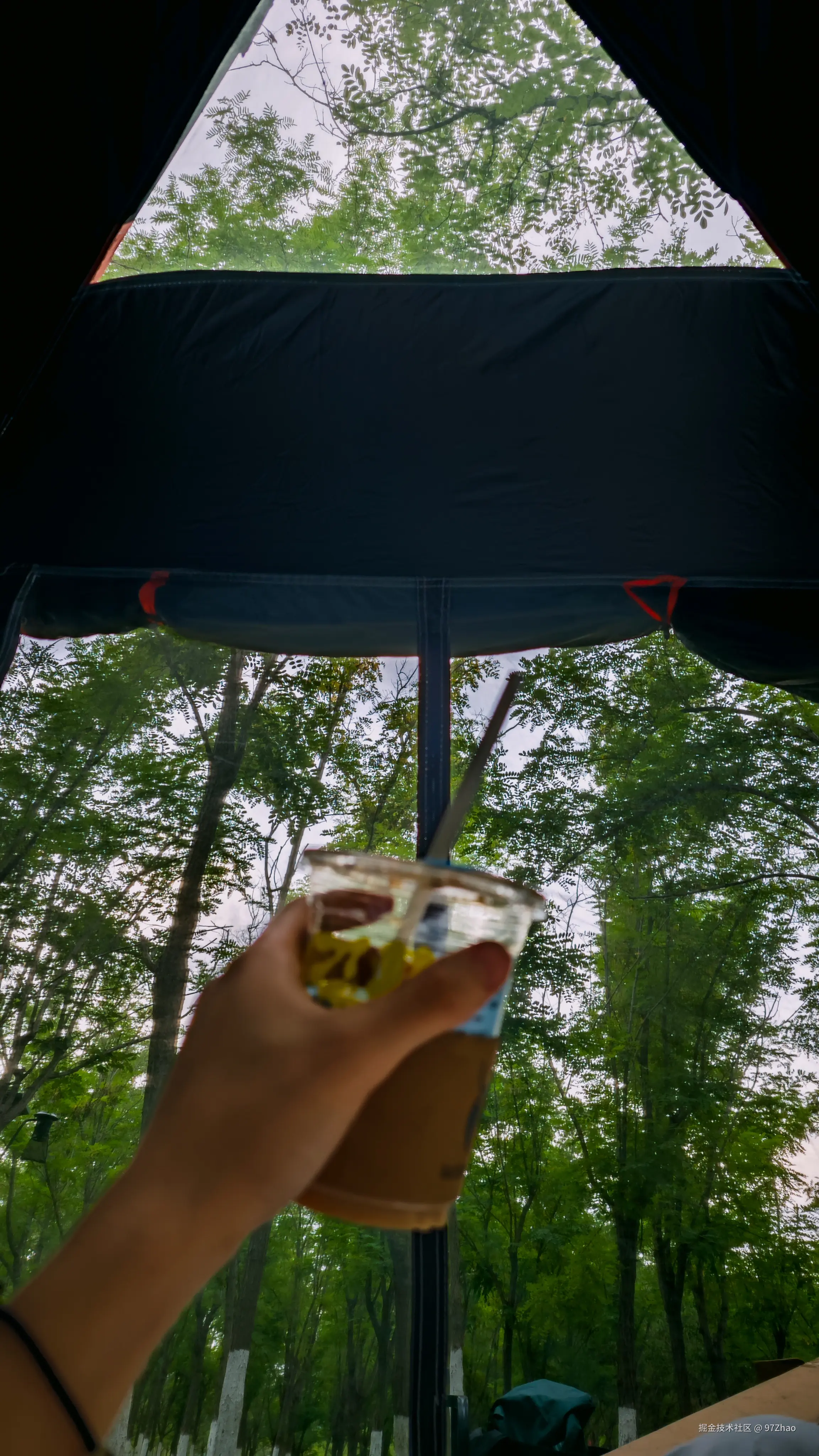 97Zhao于2025-06-04 09:21发布的图片