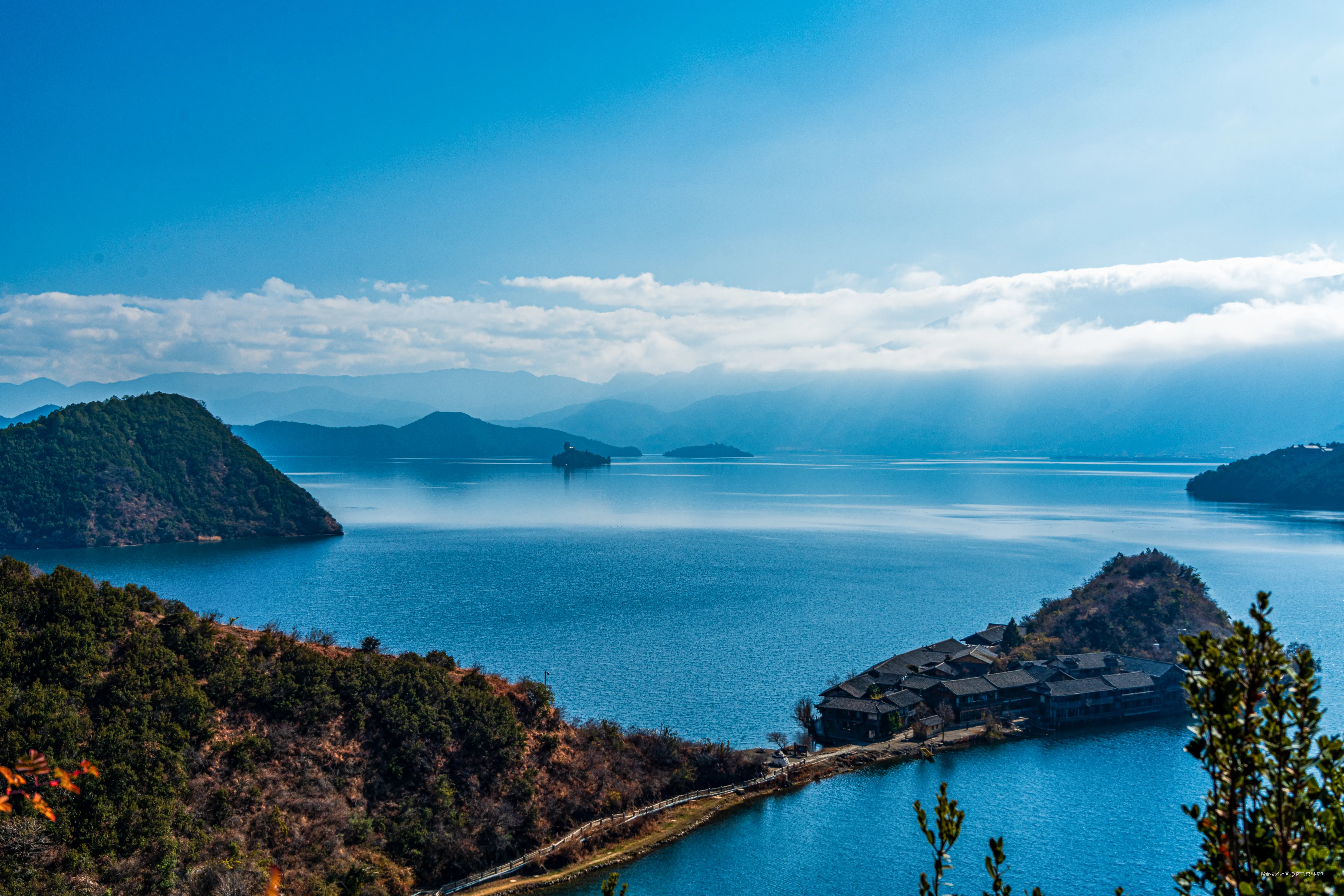 阿飞只想摸鱼于2026-02-11 14:46发布的图片