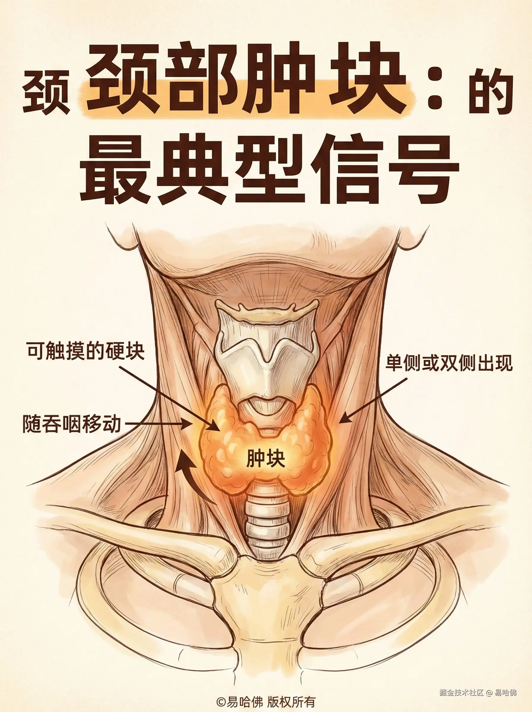 易哈佛于2026-01-05 14:38发布的图片