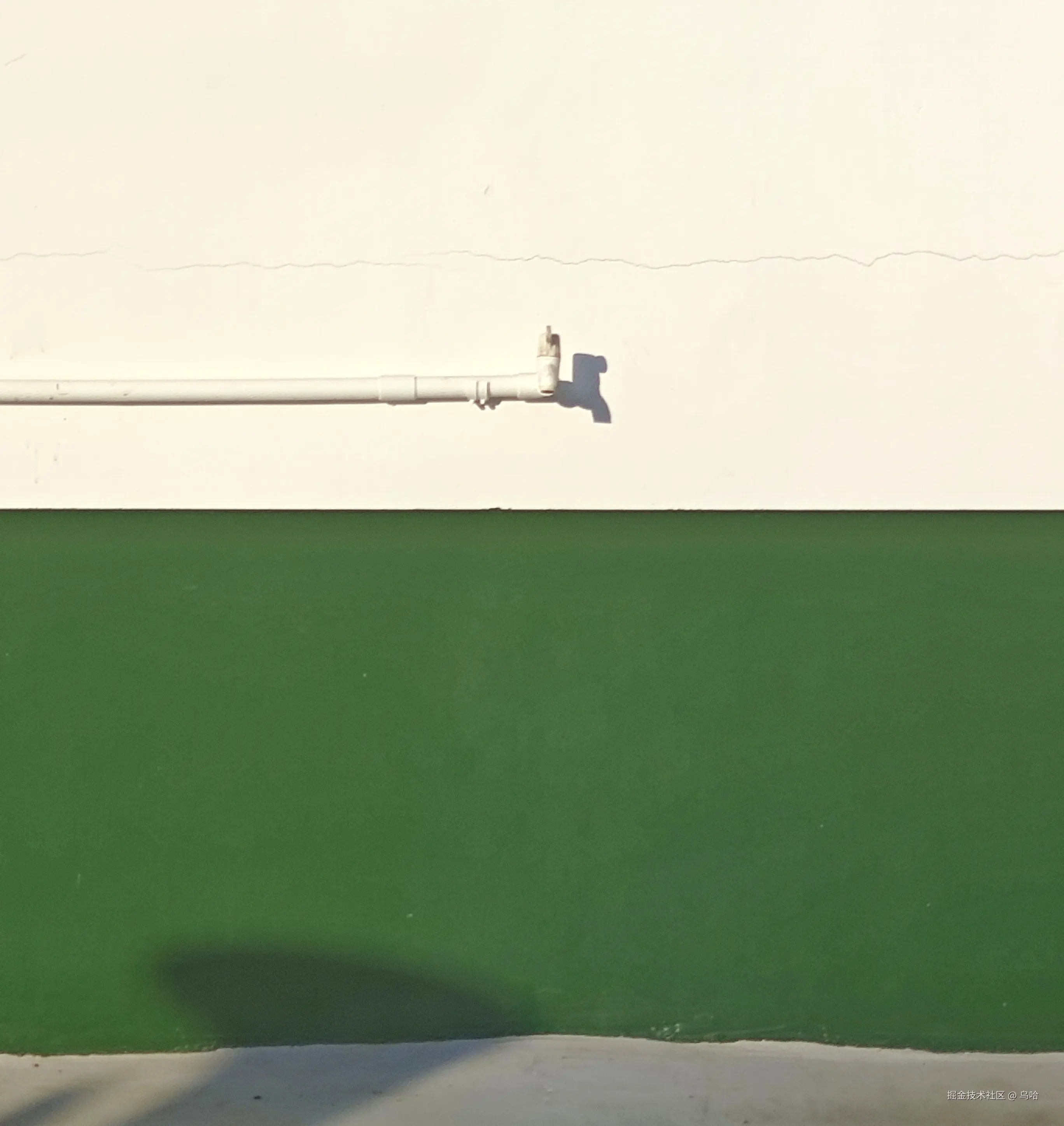 乌哈于2024-07-29 15:19发布的图片