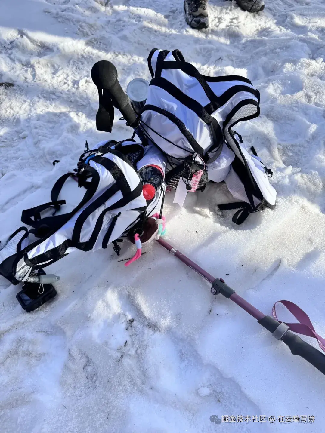 在云端写诗于2025-12-01 03:16发布的图片