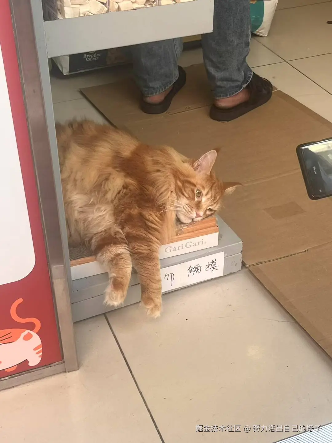 努力活出自己的搭子于2025-06-23 09:28发布的图片