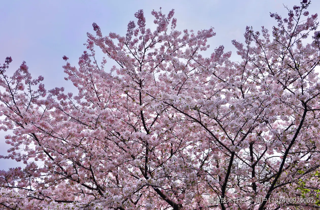 用户1782406924062于2026-04-08 10:09发布的图片