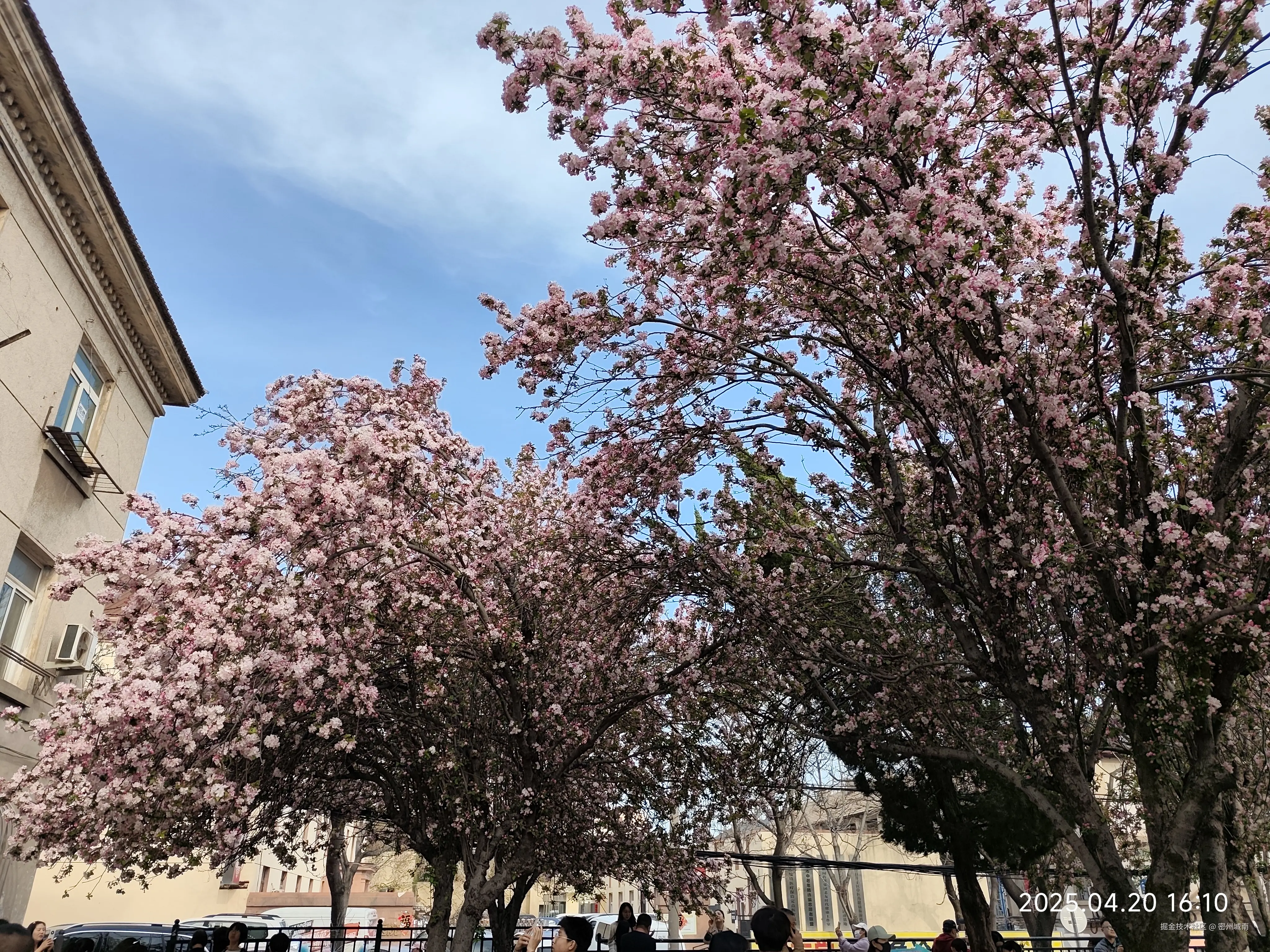 密州城南于2025-04-22 10:53发布的图片