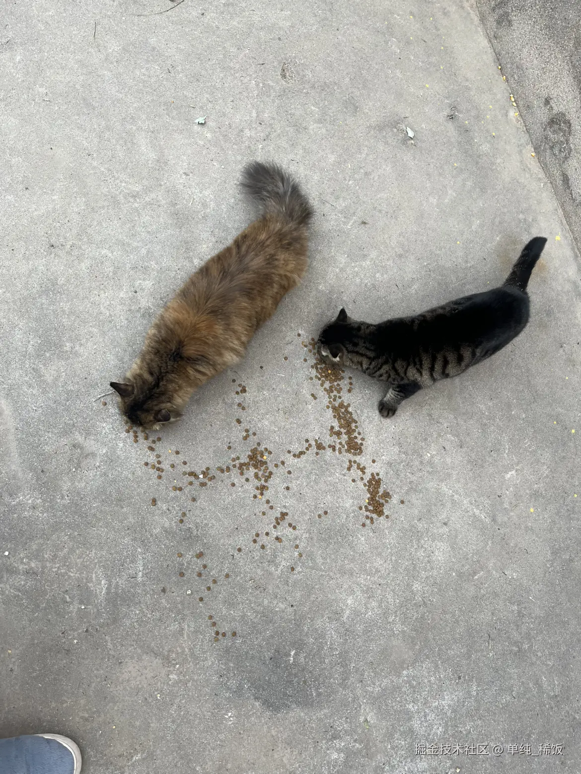 单纯_稀饭于2025-12-02 09:18发布的图片