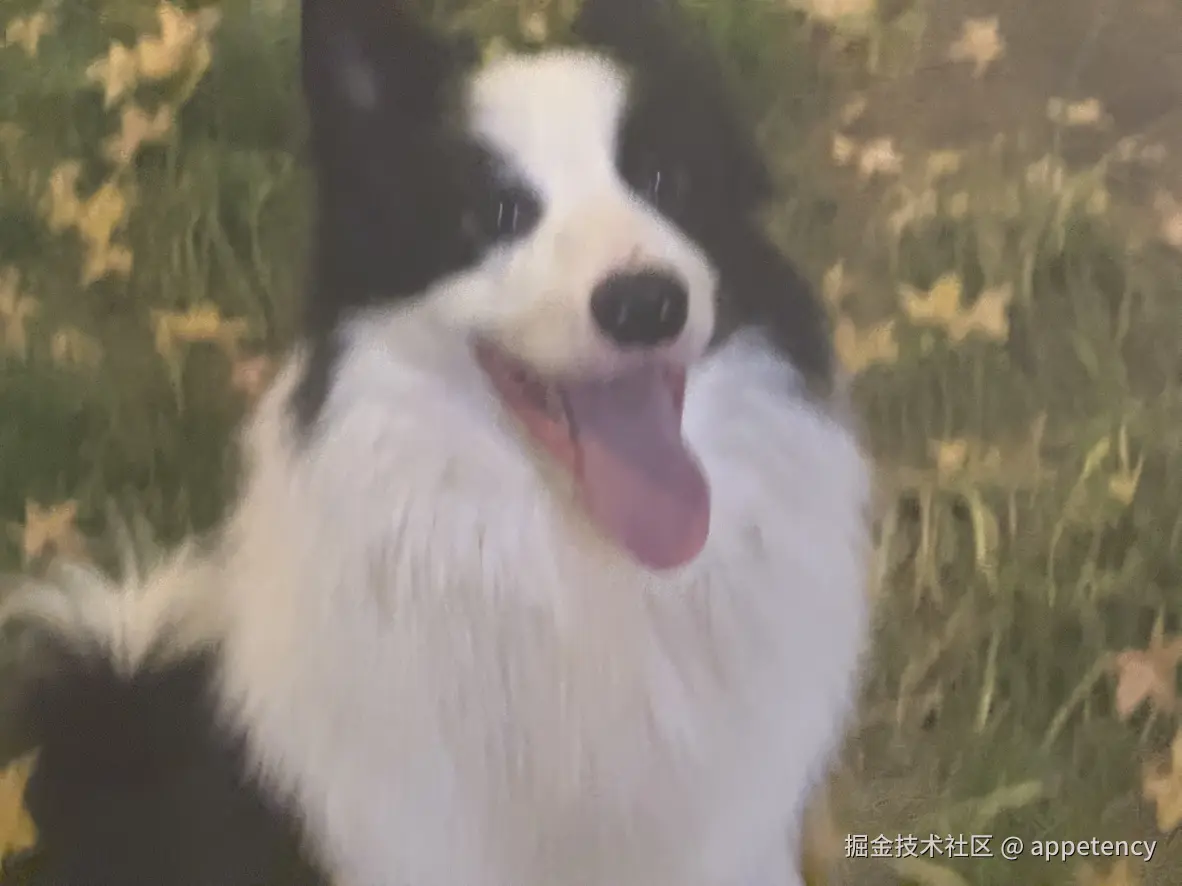 appetency于2024-12-31 16:23发布的图片