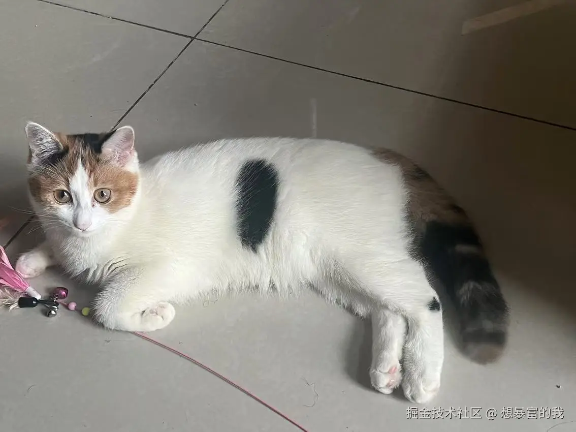 想暴富的我于2025-01-06 05:47发布的图片