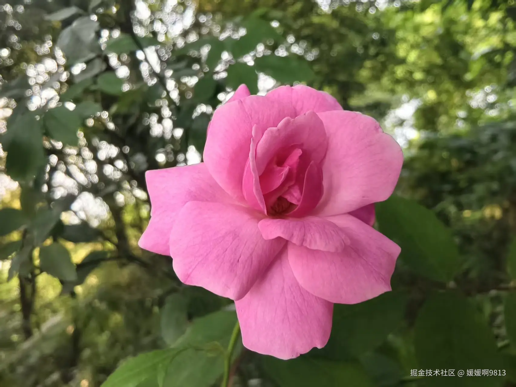 媛媛啊9813于2026-04-07 09:53发布的图片