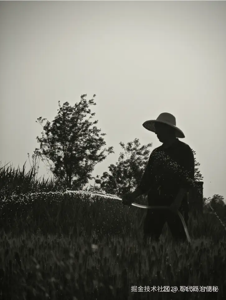 写代码治便秘于2025-05-07 10:57发布的图片