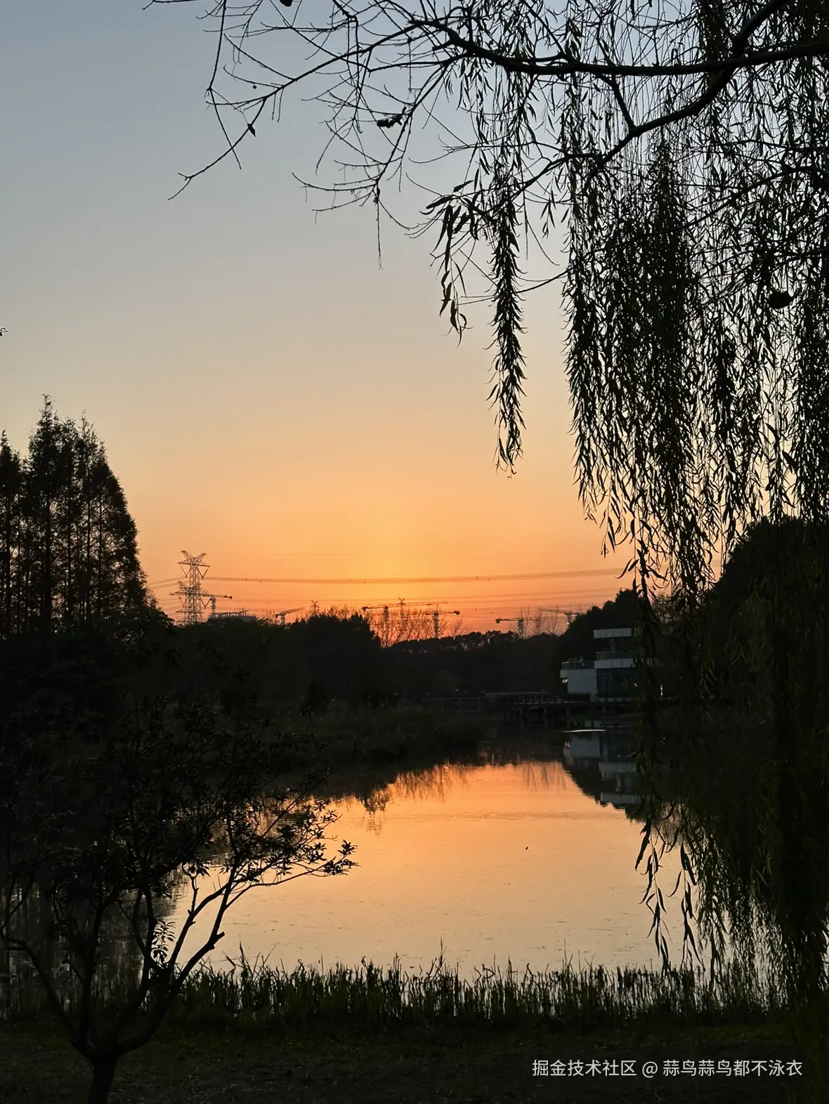 蒜鸟蒜鸟都不泳衣于2025-12-05 10:12发布的图片