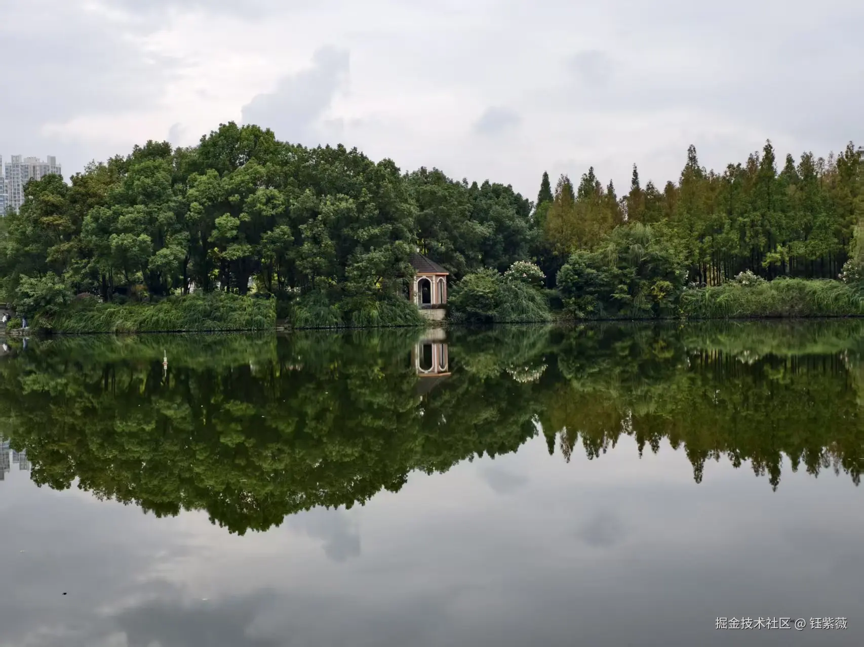 钰紫薇于2025-11-03 09:30发布的图片