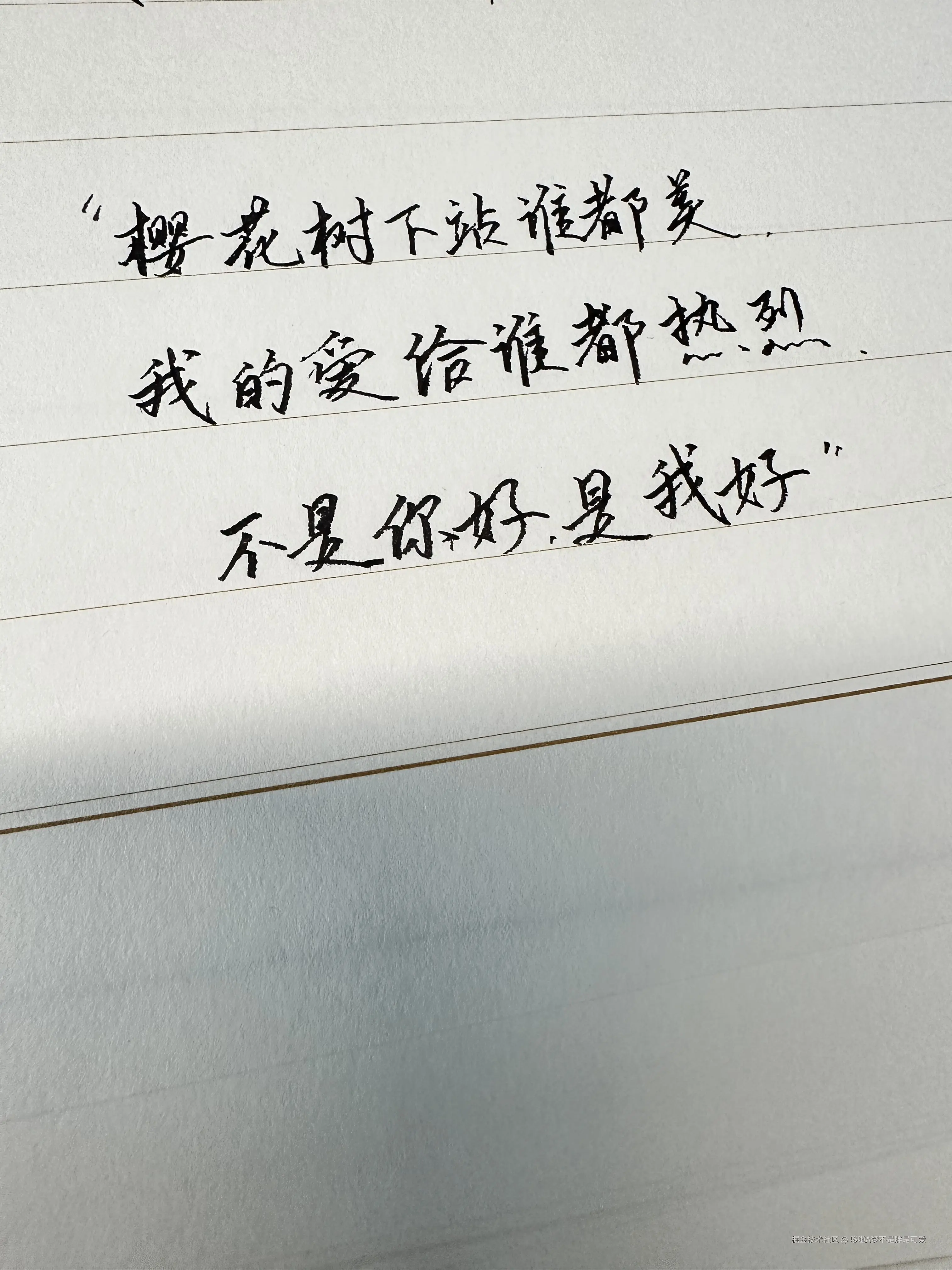 哆啦A梦不是胖是可爱于2024-08-22 15:00发布的图片