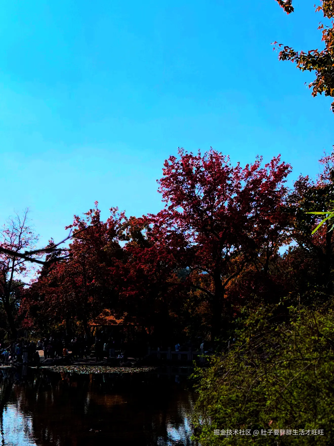 肚子要胖胖生活才旺旺于2025-11-16 00:20发布的图片