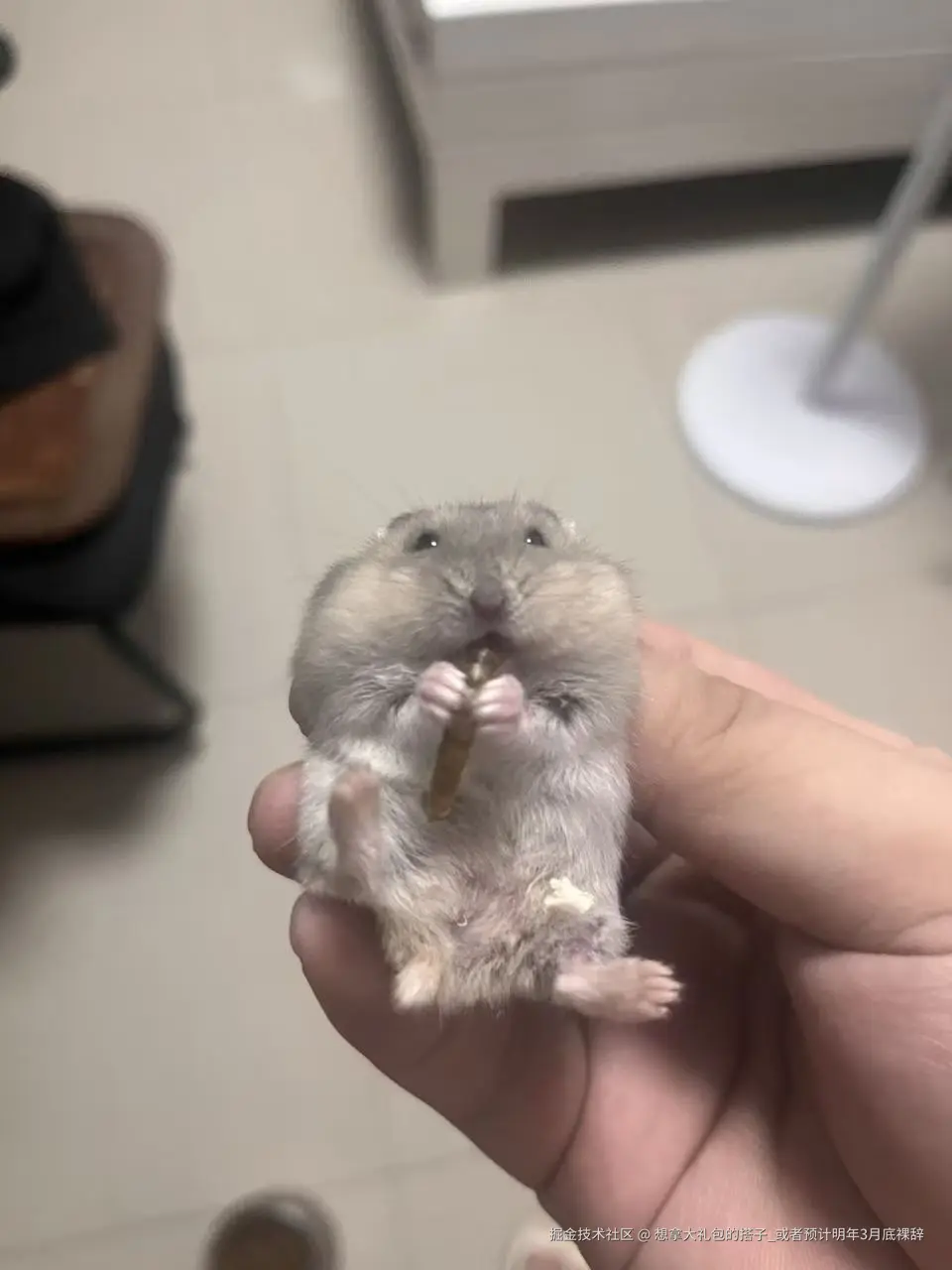 想拿大礼包的搭子_或者预计明年3月底裸辞于2025-09-02 09:13发布的图片