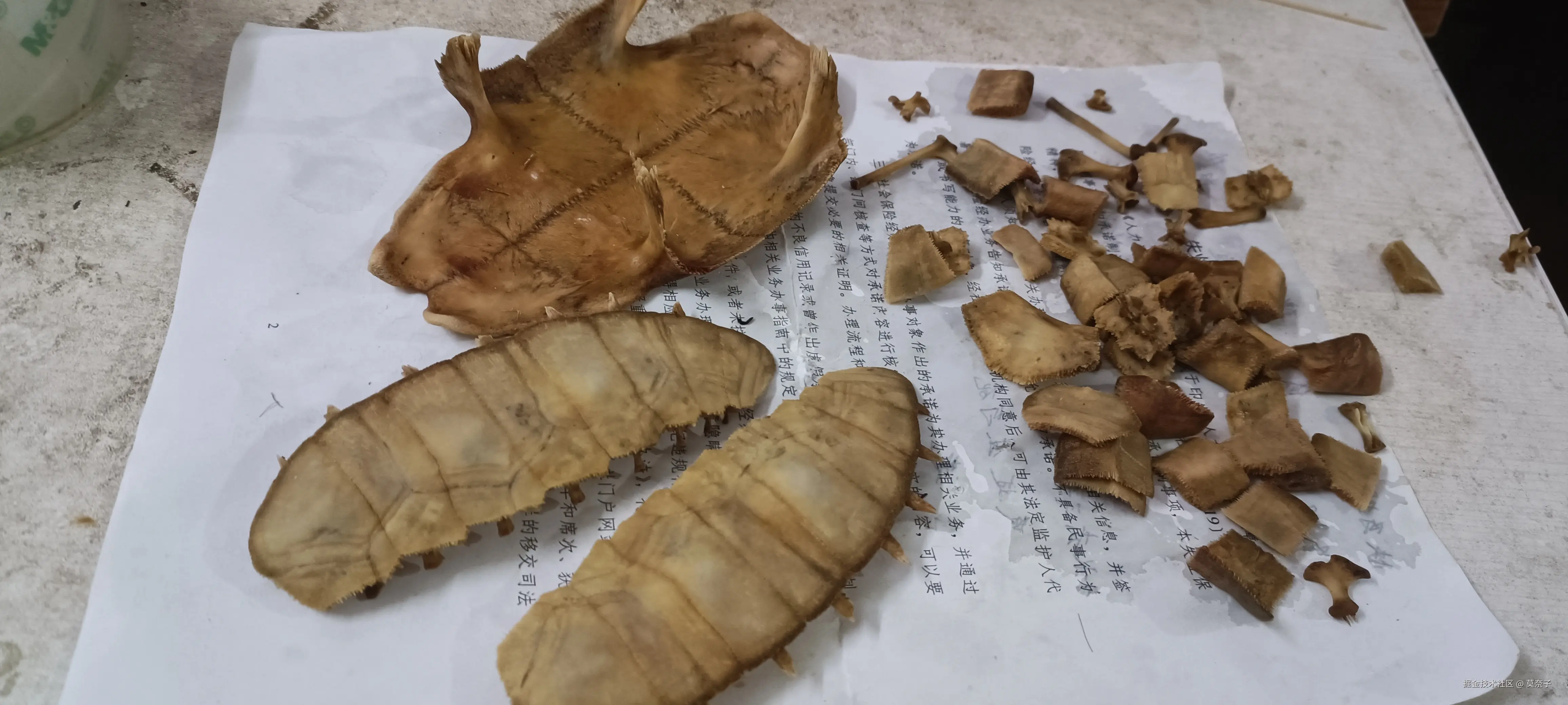 莫奈子于2025-07-15 22:52发布的图片