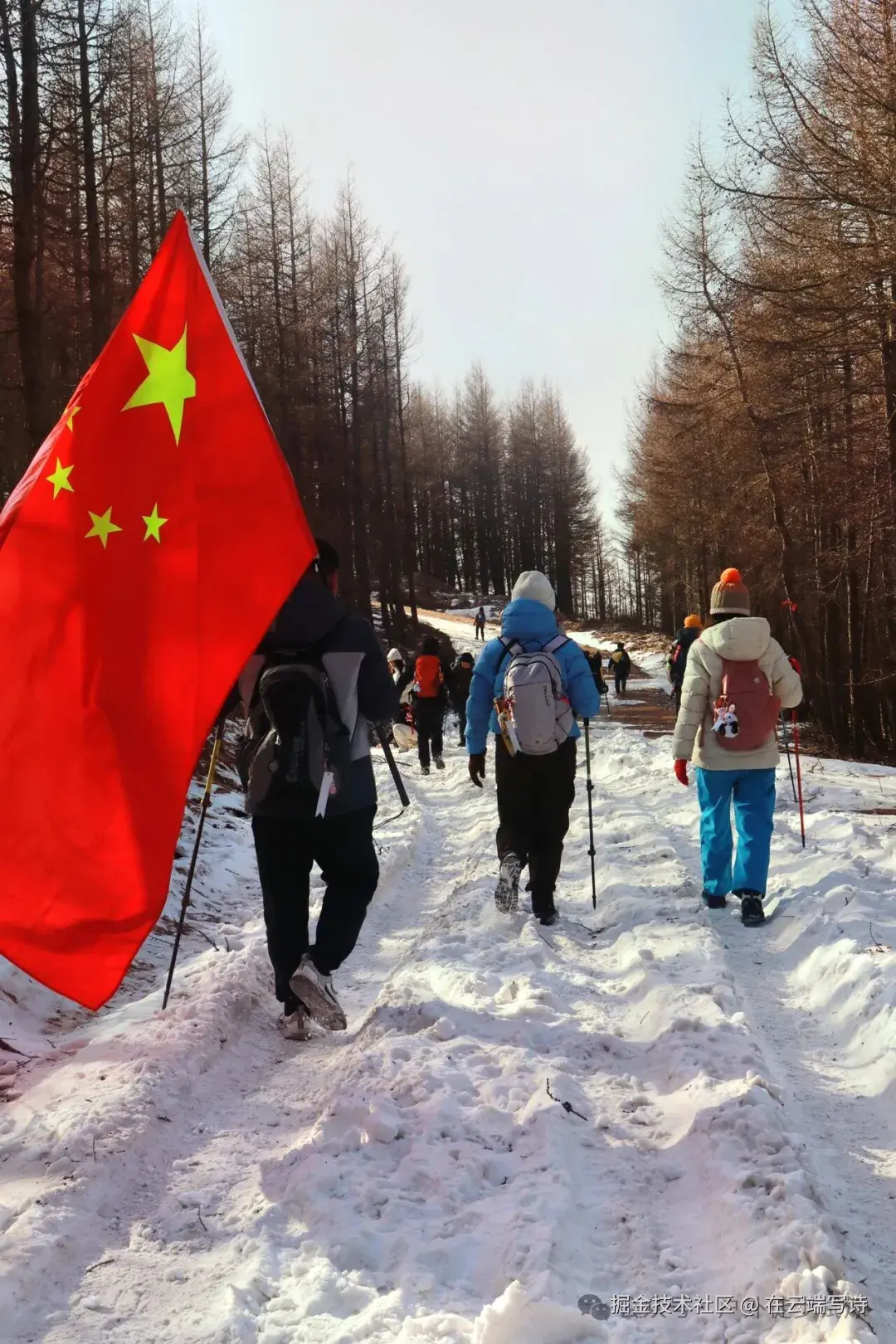 在云端写诗于2025-12-01 03:16发布的图片