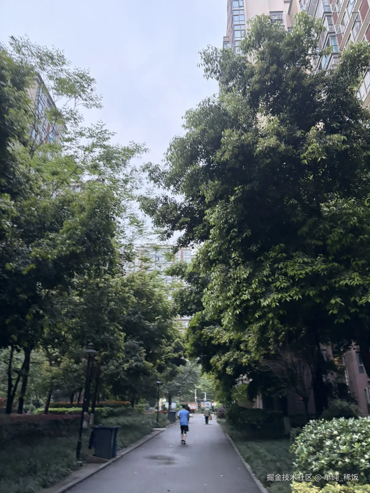 单纯_稀饭于2026-04-02 07:59发布的图片