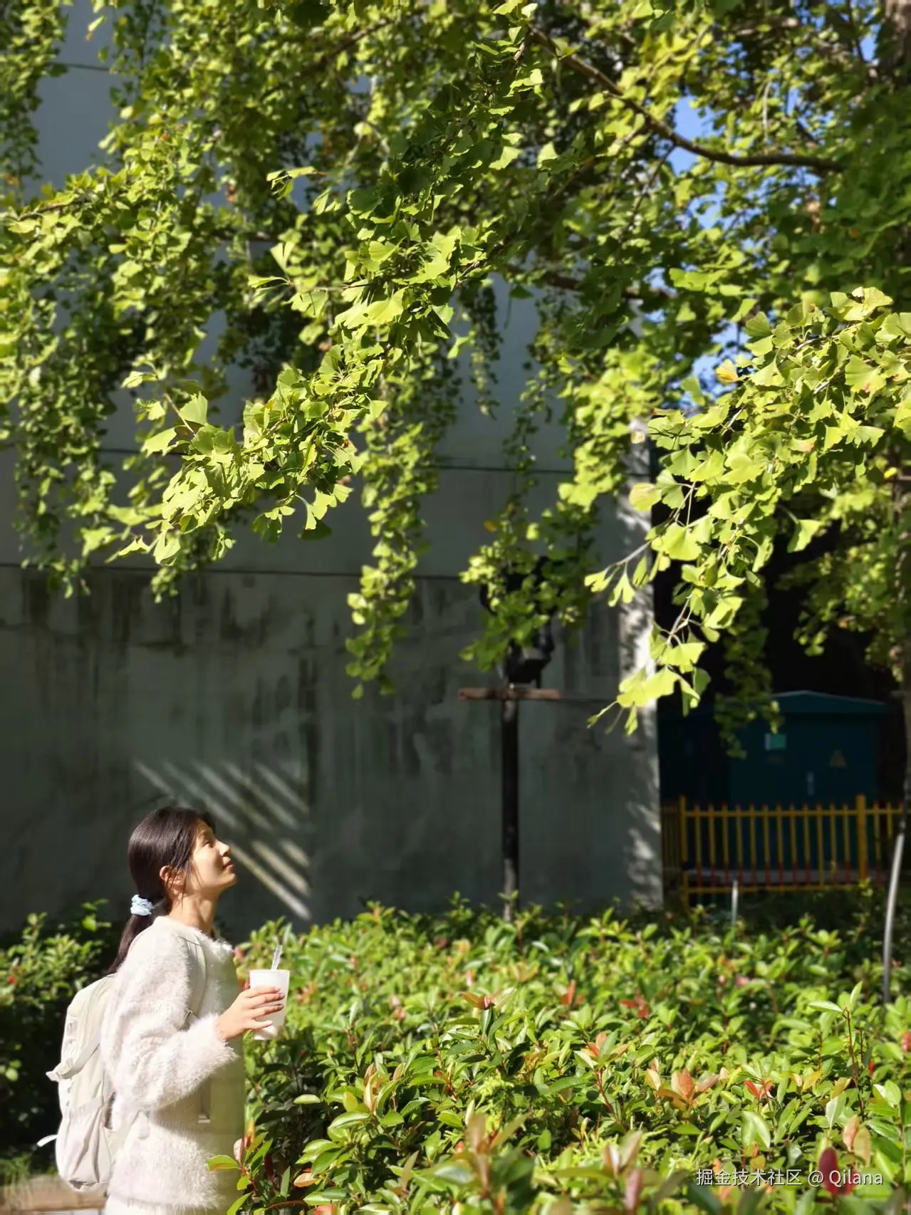 Qilana于2025-11-09 16:58发布的图片