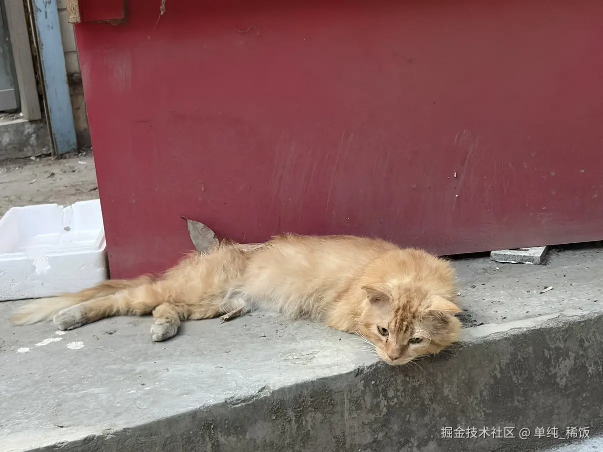 单纯_稀饭于2026-07-29 00:15发布的图片