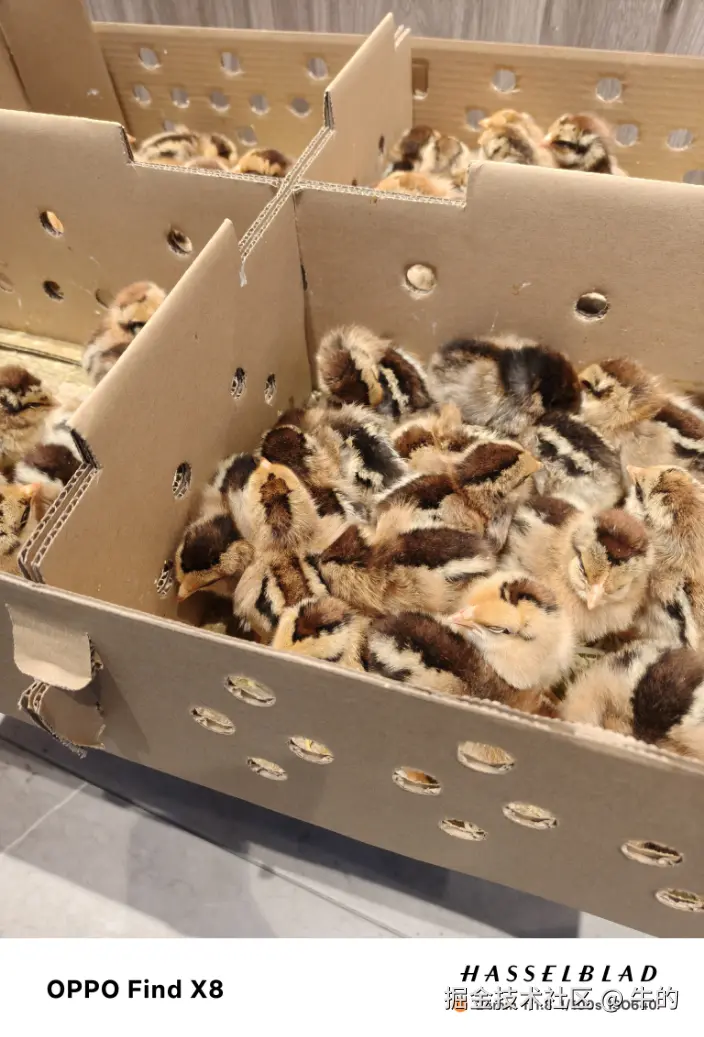 牛的于2025-04-07 10:13发布的图片