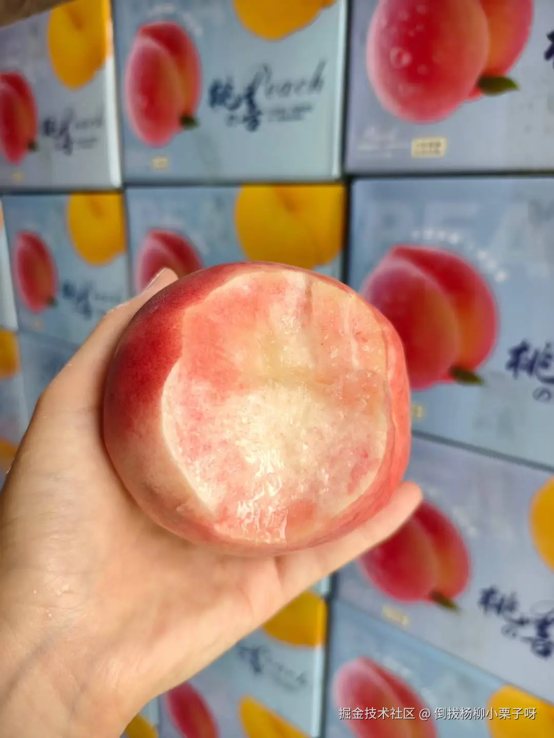 倒拔杨柳小栗子呀于2025-07-21 08:00发布的图片