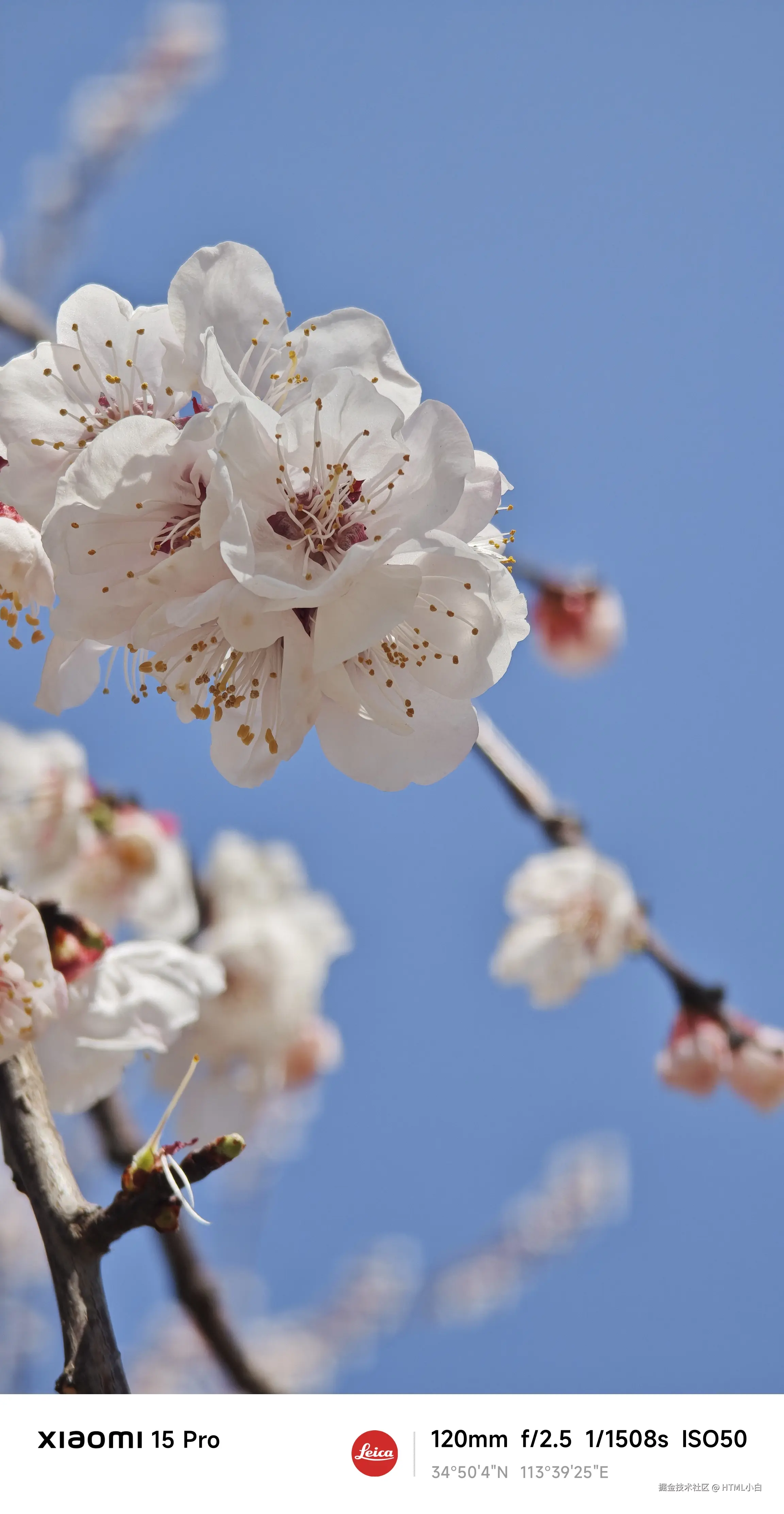 HTML小白于2025-03-19 09:31发布的图片