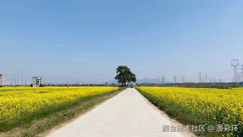 墨彩环于2025-03-20 23:09发布的图片