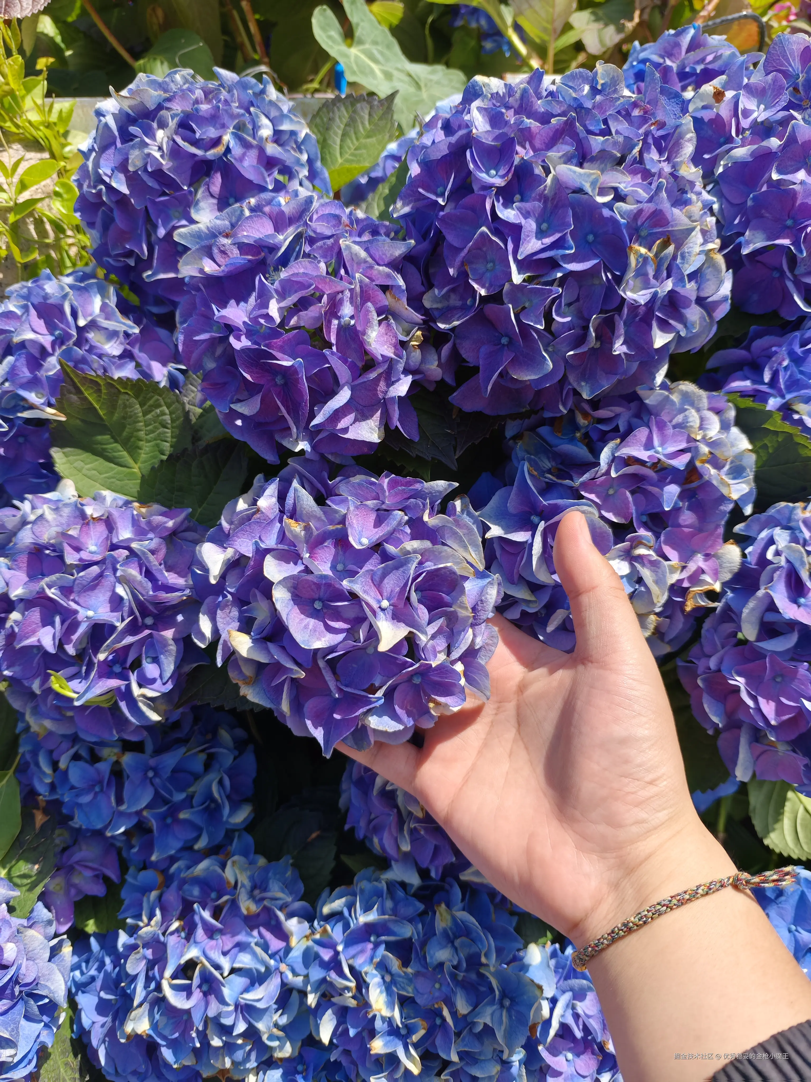 优秀稳妥的金枪小魔王于2025-04-15 13:28发布的图片