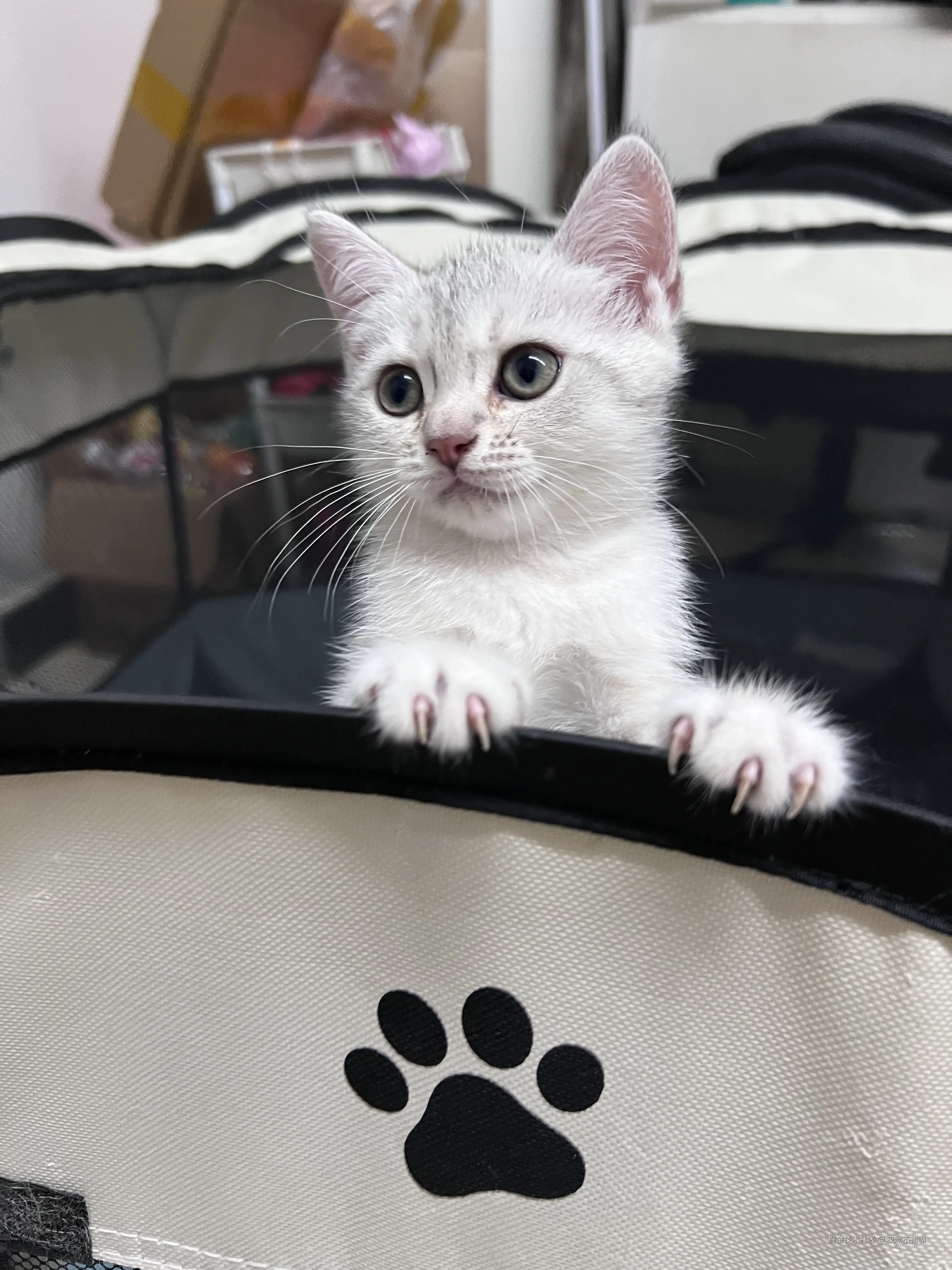 哎呦不错呦于2024-08-08 11:09发布的图片