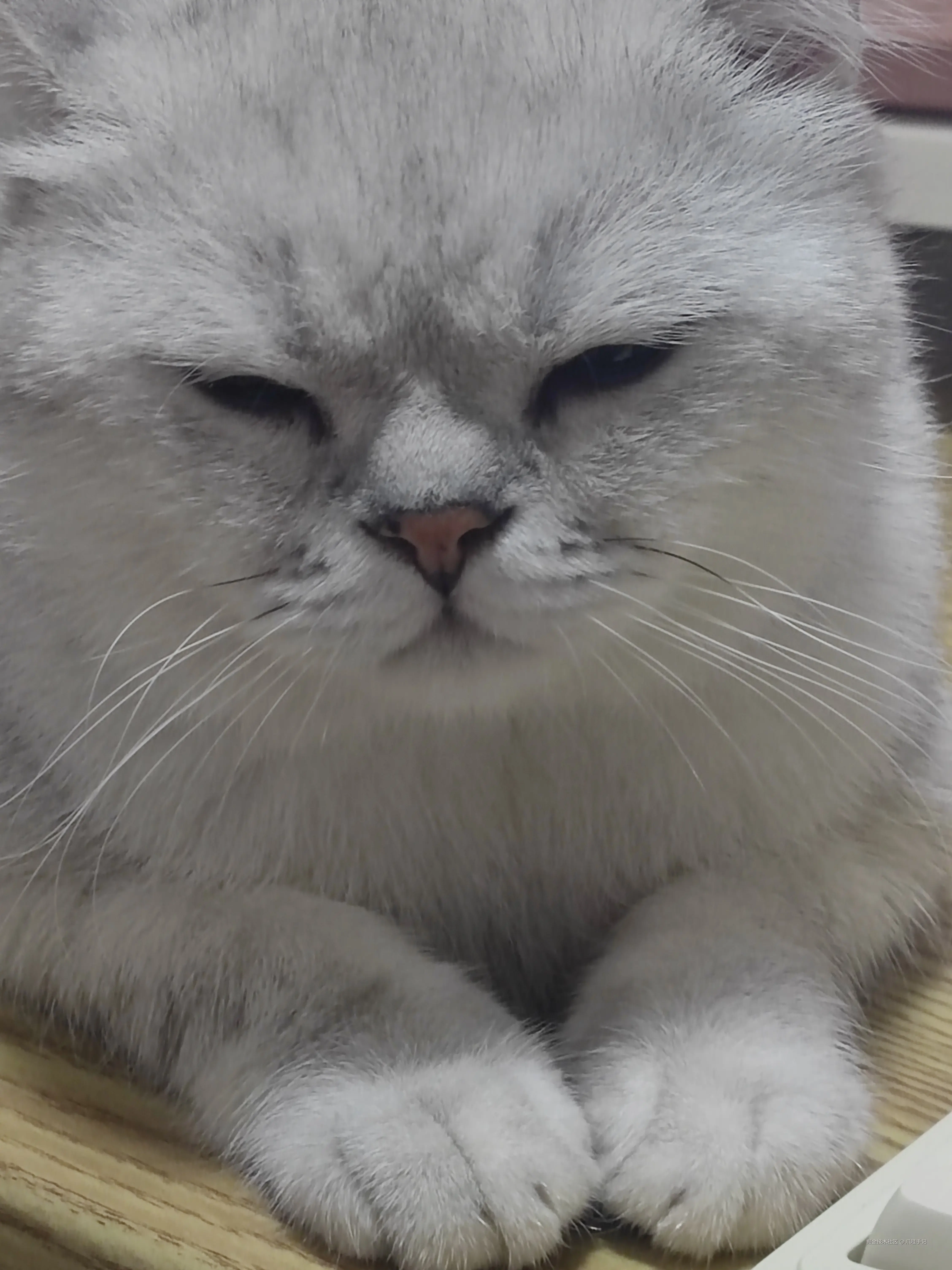 爪哇手记于2024-09-23 10:29发布的图片