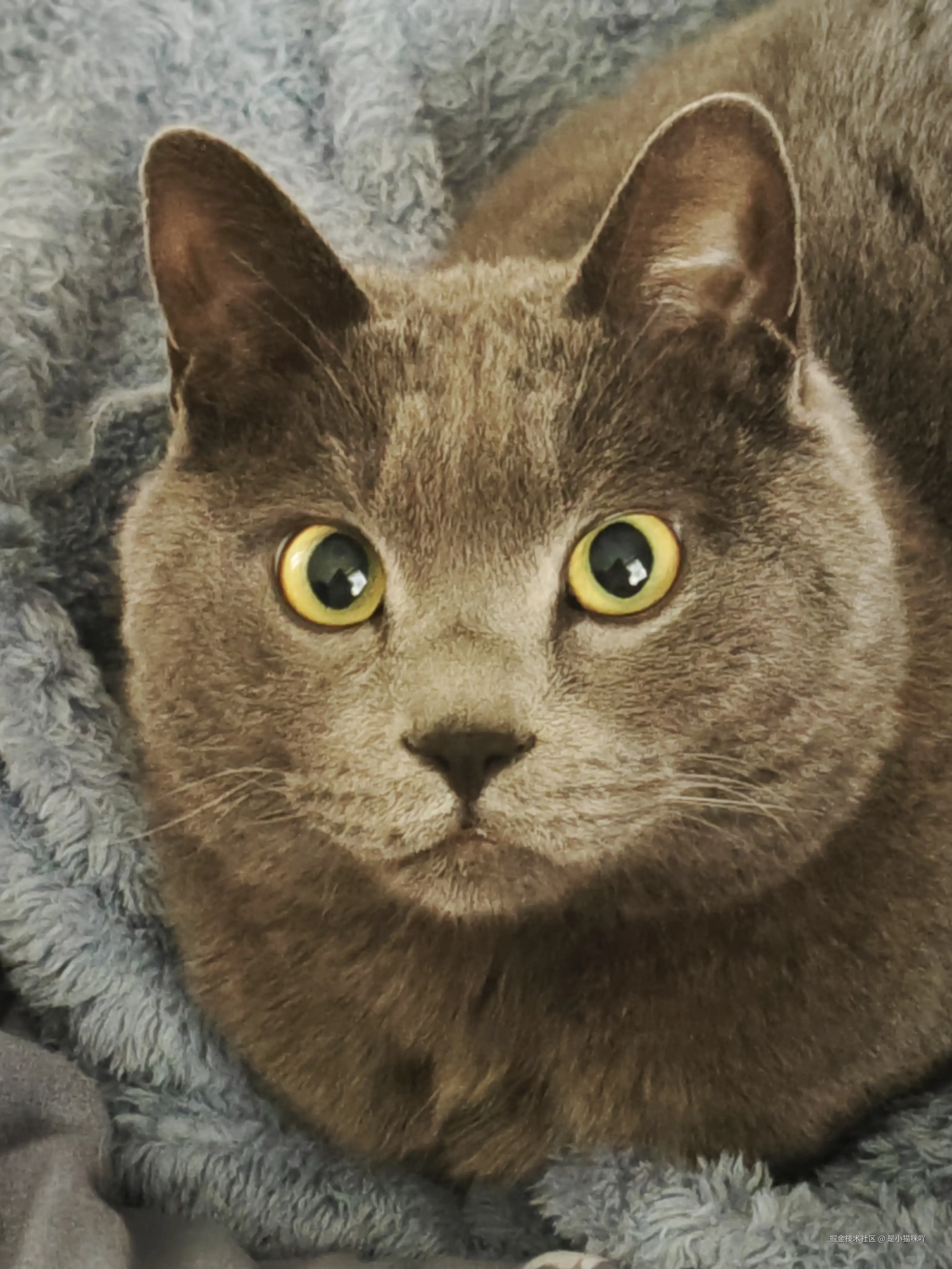 是小猫咪吖于2025-10-13 22:20发布的图片