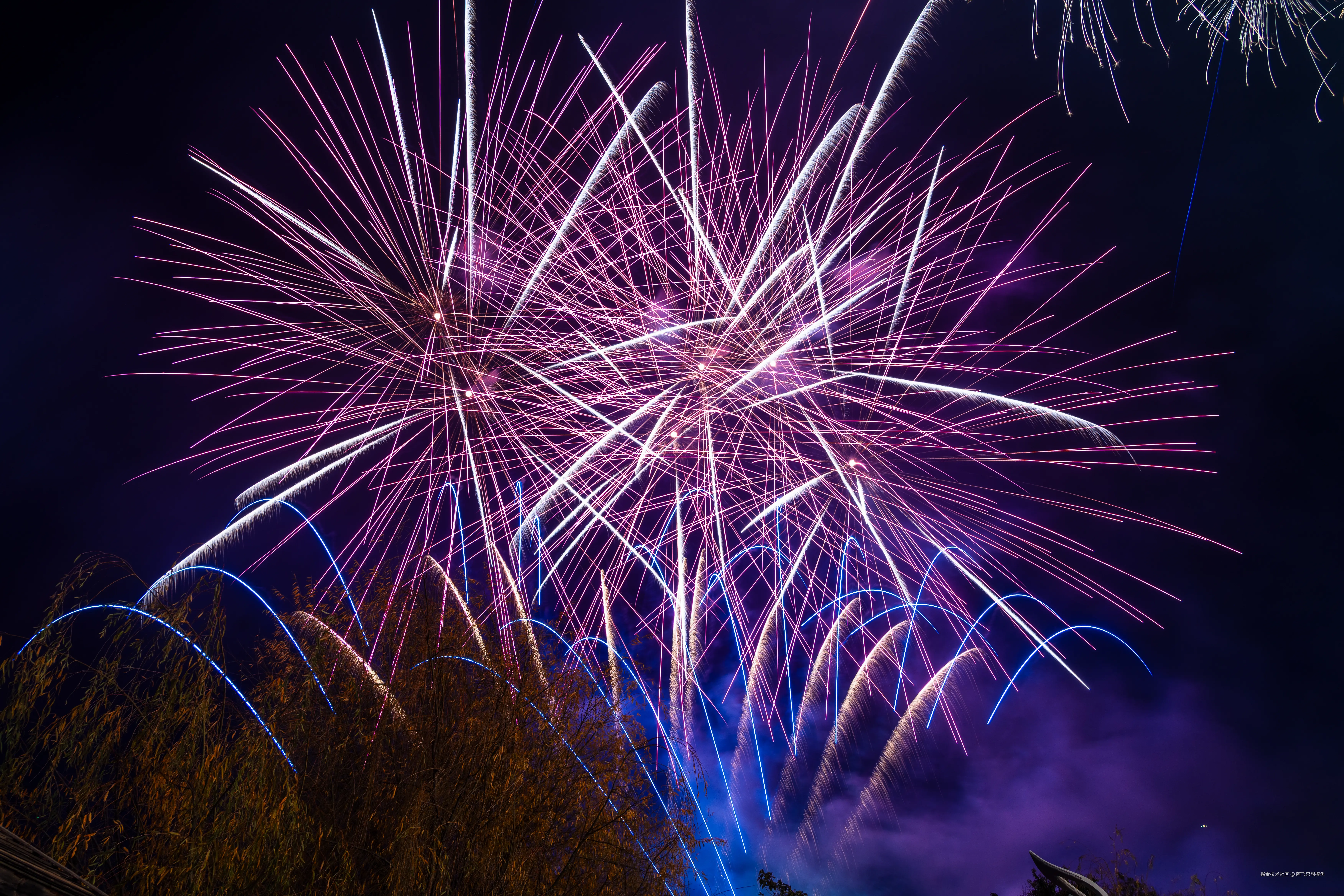 阿飞只想摸鱼于2026-02-11 14:40发布的图片