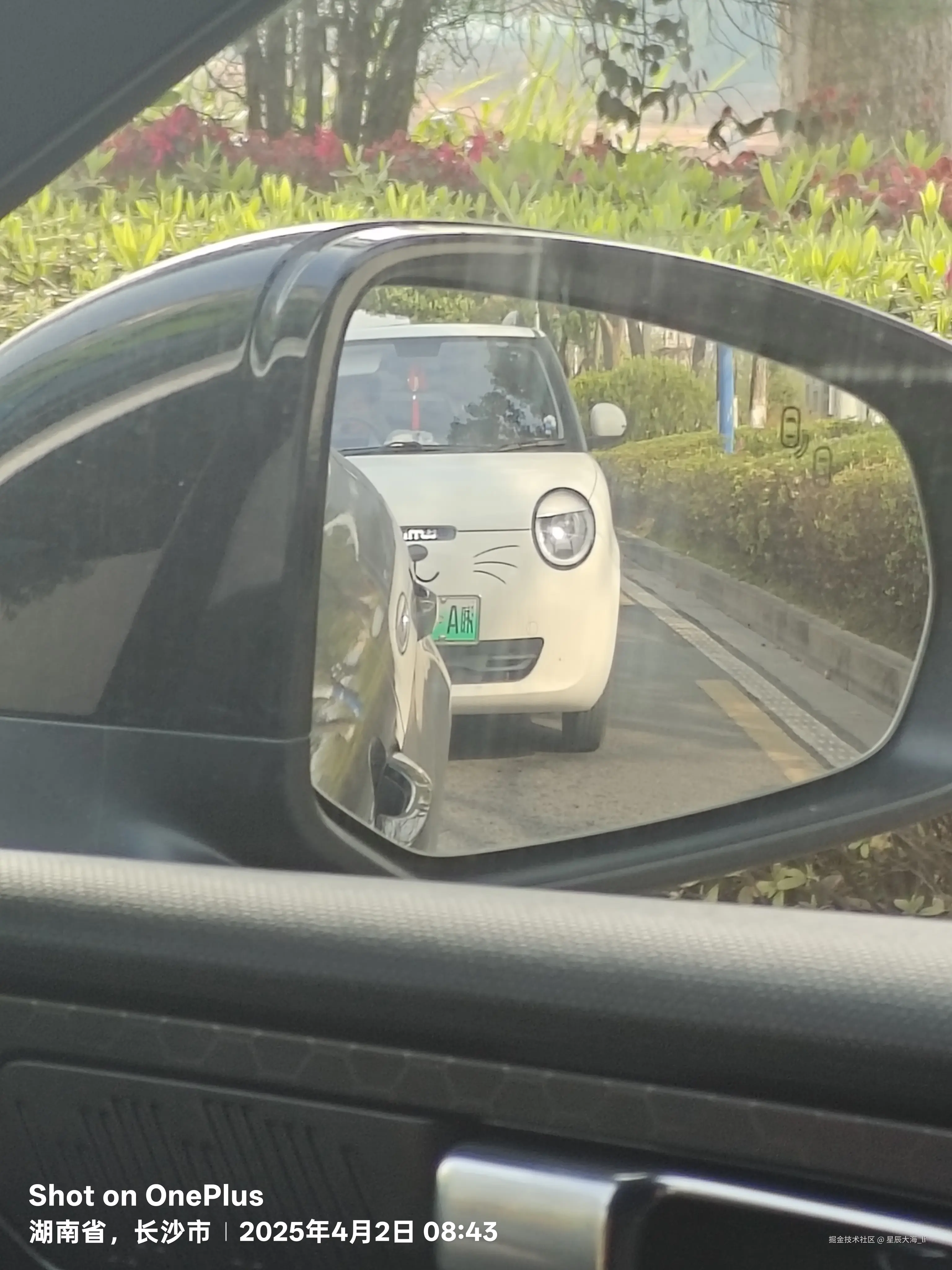 星辰大海_li于2025-04-02 01:55发布的图片
