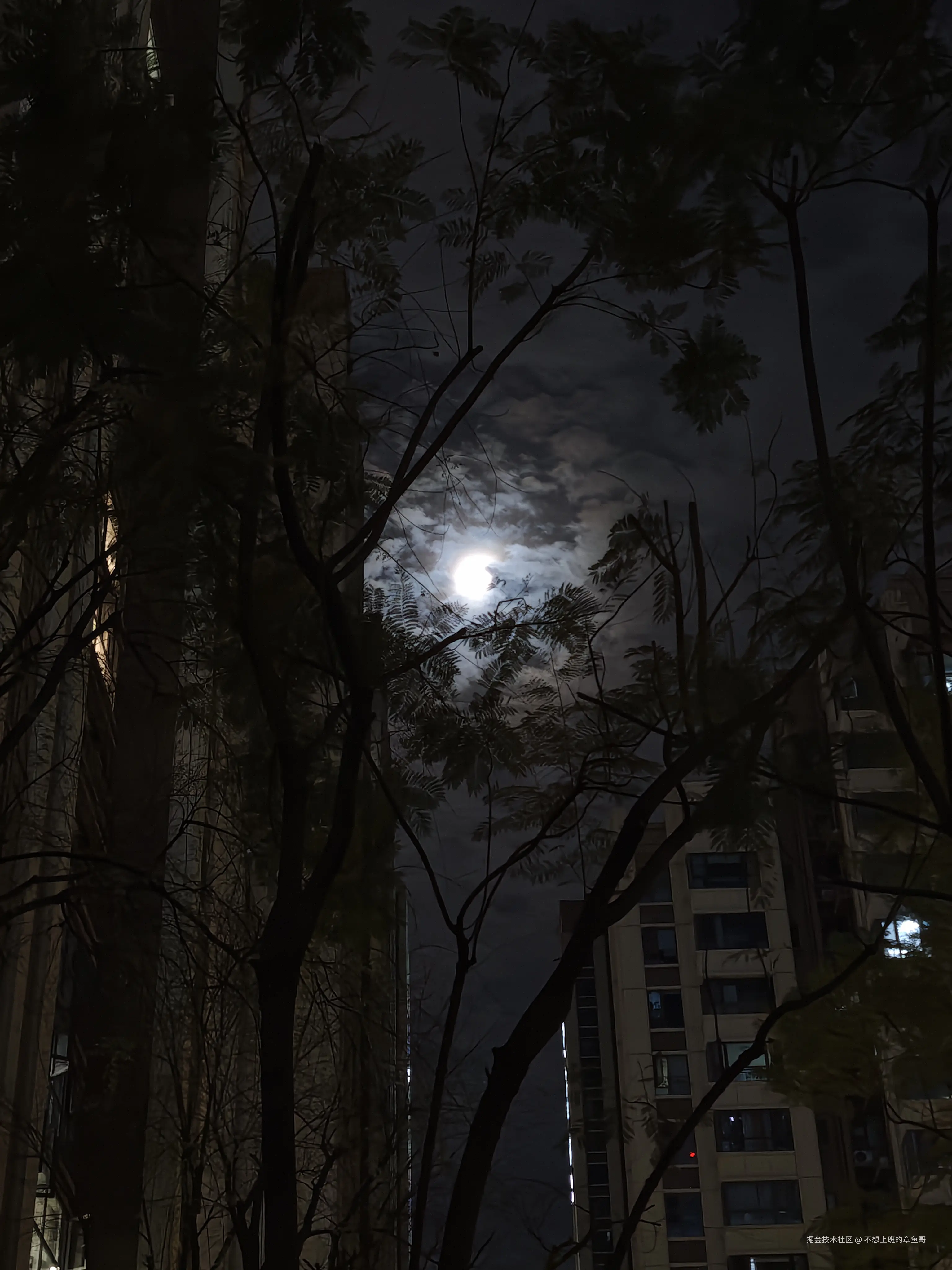 不想上班的章鱼哥于2026-03-03 14:55发布的图片