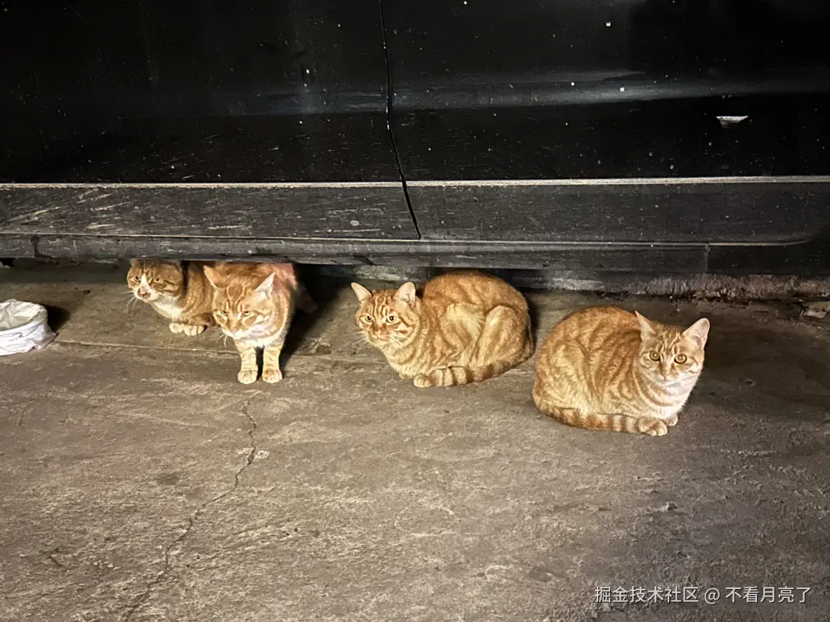 不看月亮了于2025-11-14 17:14发布的图片