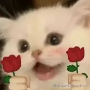 十寸雨丶于2026-02-25 09:22发布的图片