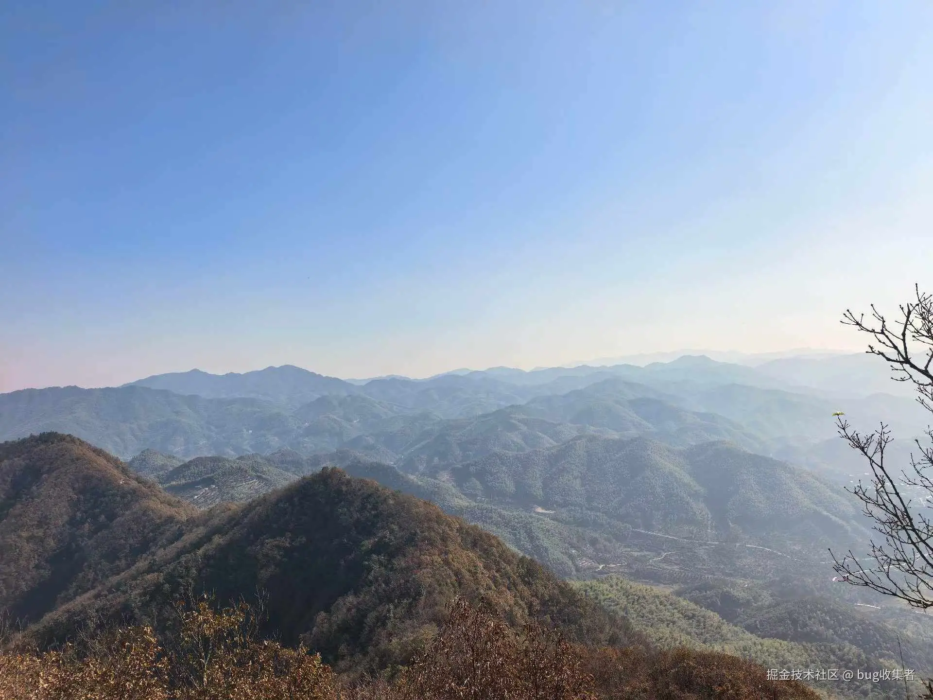 bug收集者于2025-11-24 11:04发布的图片