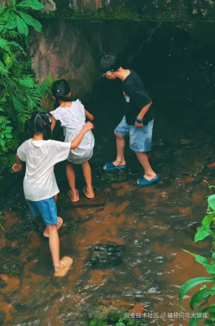 神秘闪亮大蝴蝶于2026-06-23 10:22发布的图片